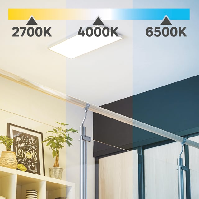 Panneau LED Gdansk 29,5 x 59,5 cm, variation blancs et intensité, blanc INSPIRE