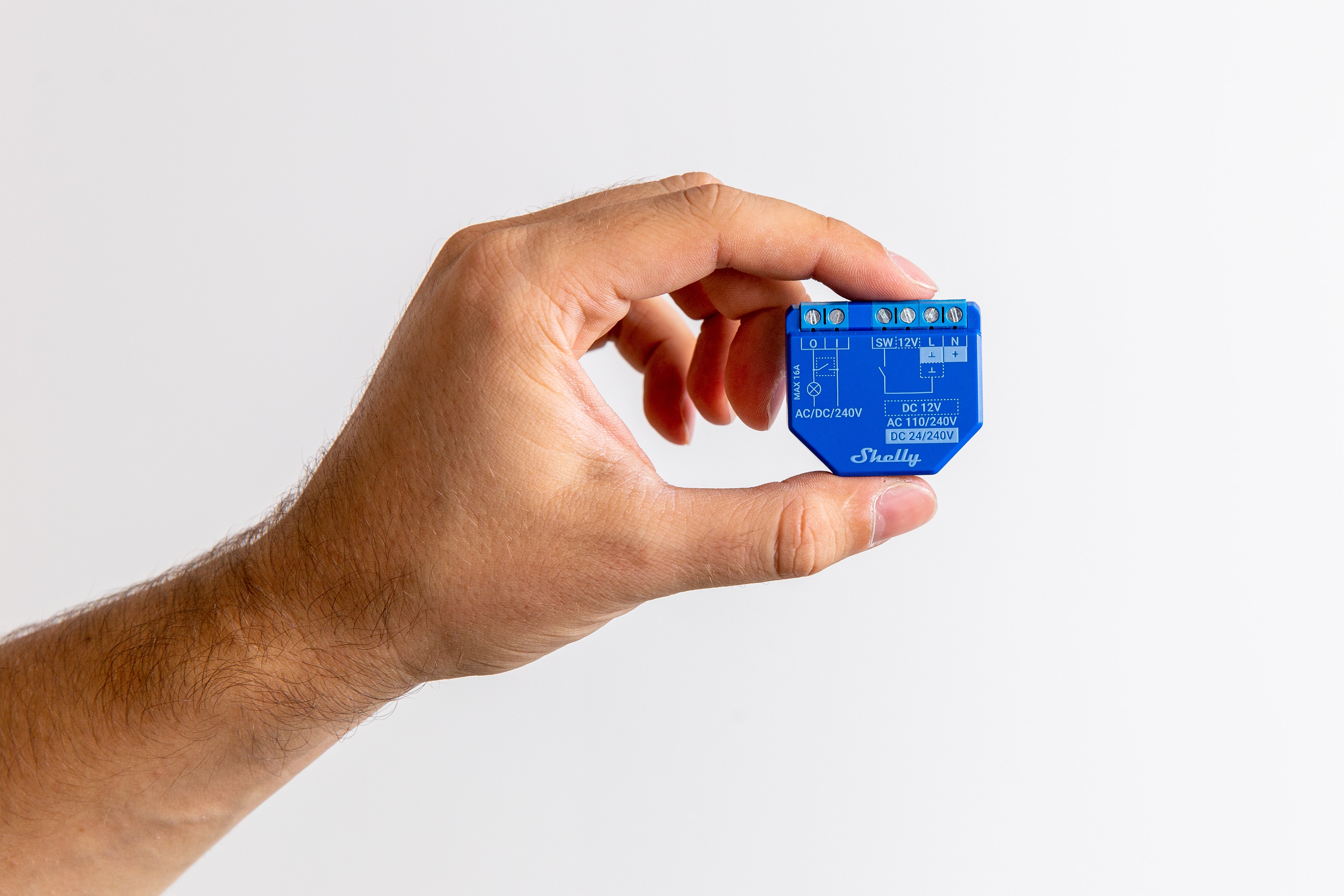 Relè SHELLY plus 1 - two pack 12V - 4