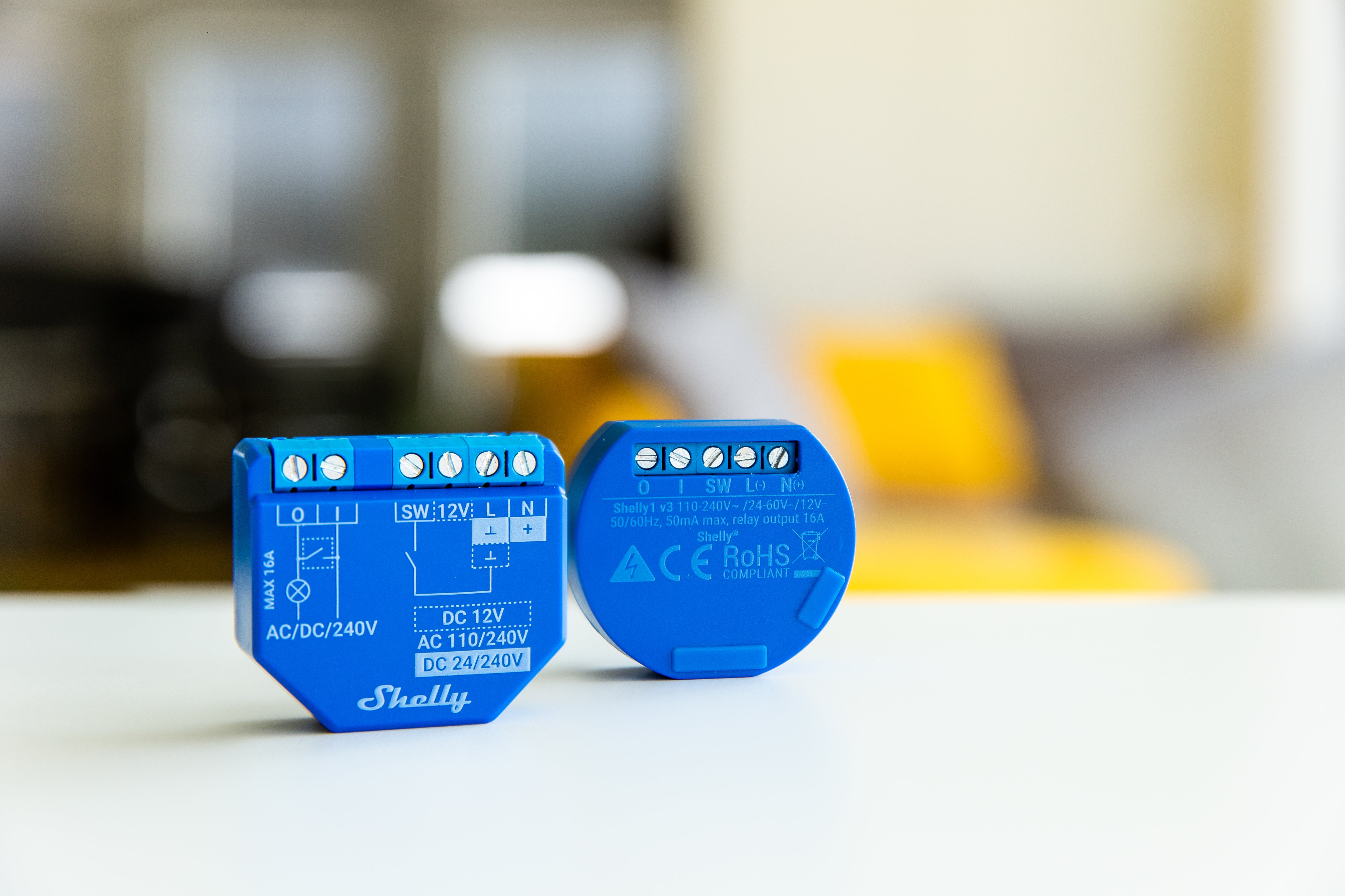 Relè SHELLY plus 1 - two pack 12V - 3