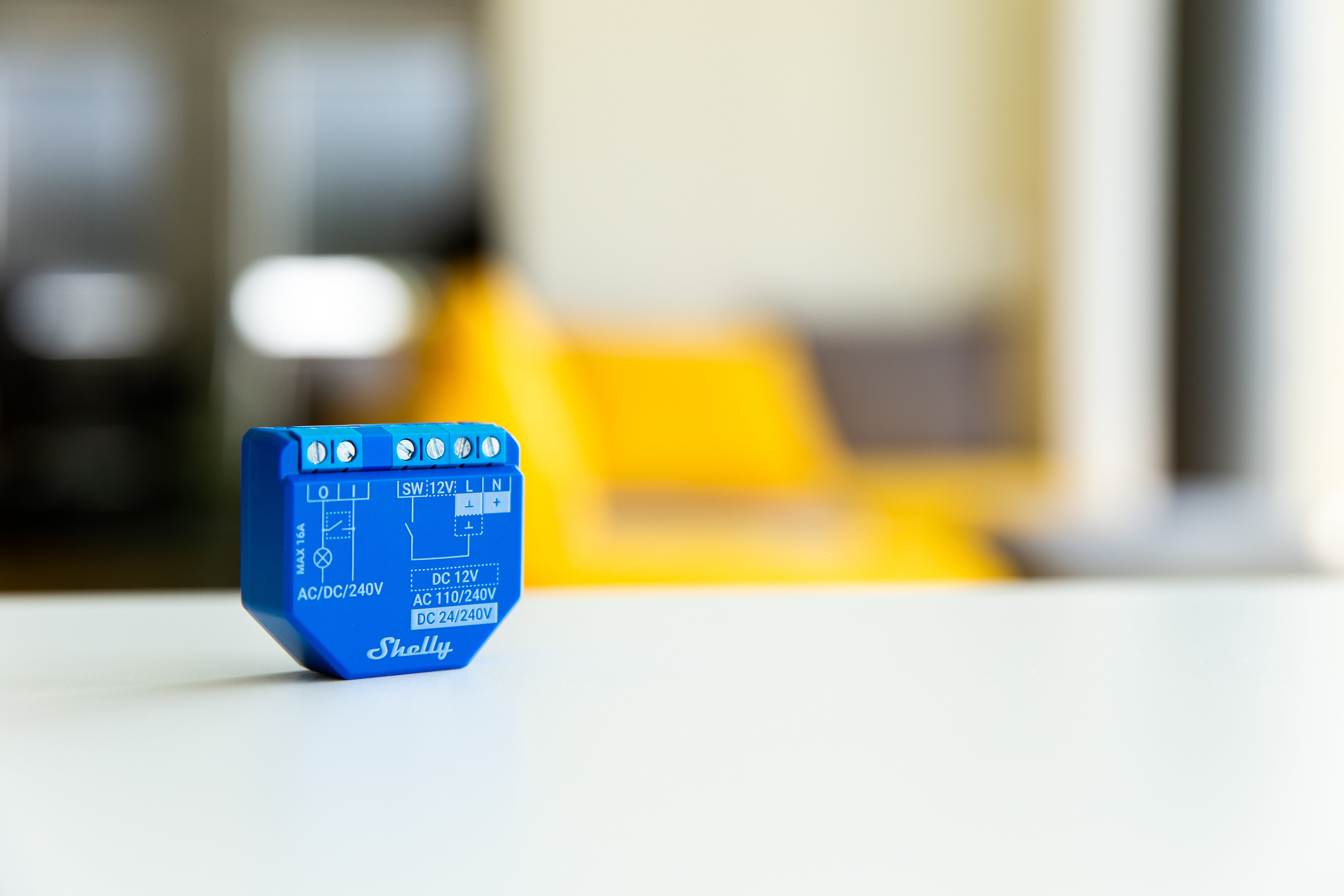 Relè SHELLY plus 1 - two pack 12V - 2