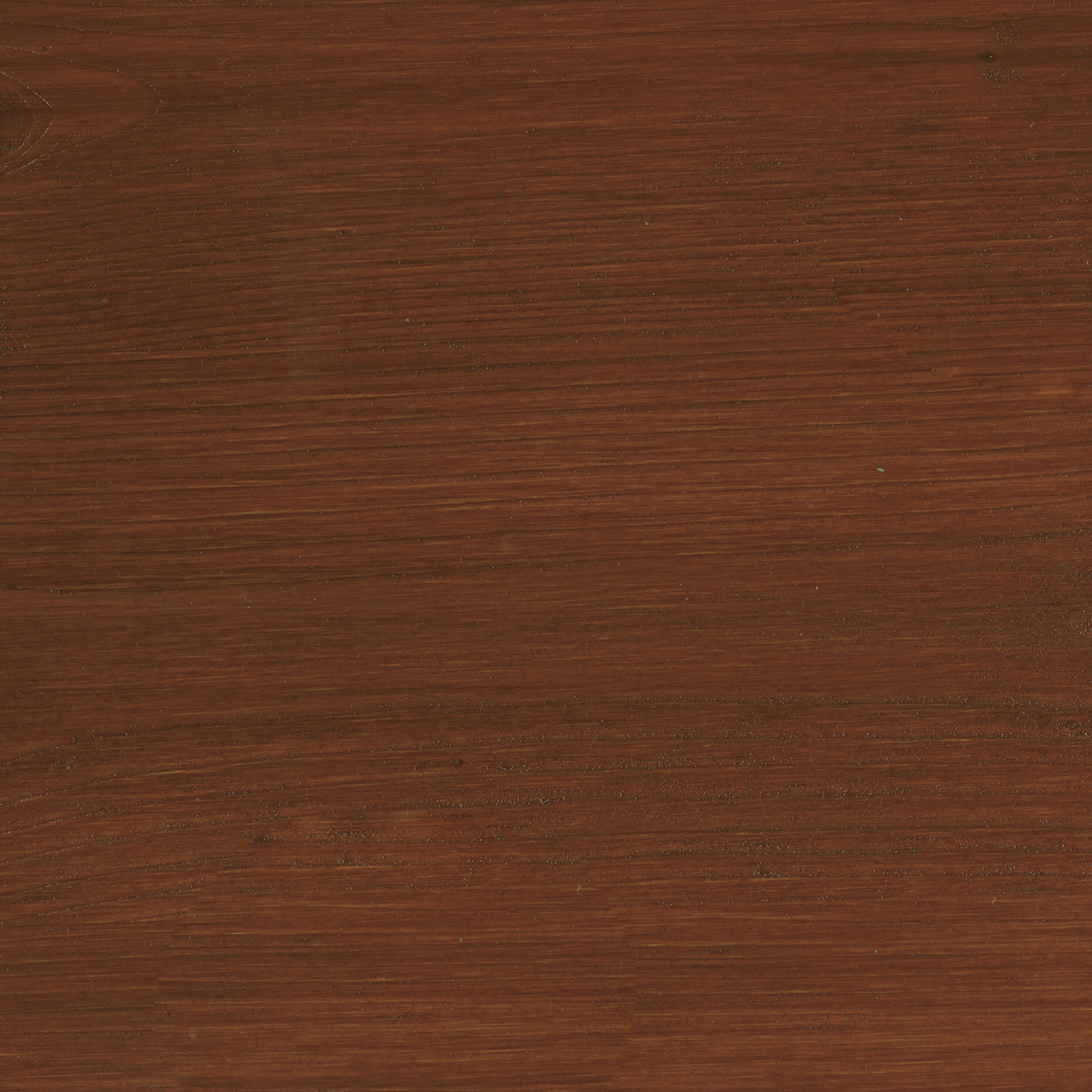 Lasure SYNTILOR Thp 8 ans chêne foncé satiné 5L+20% gratuit - 2