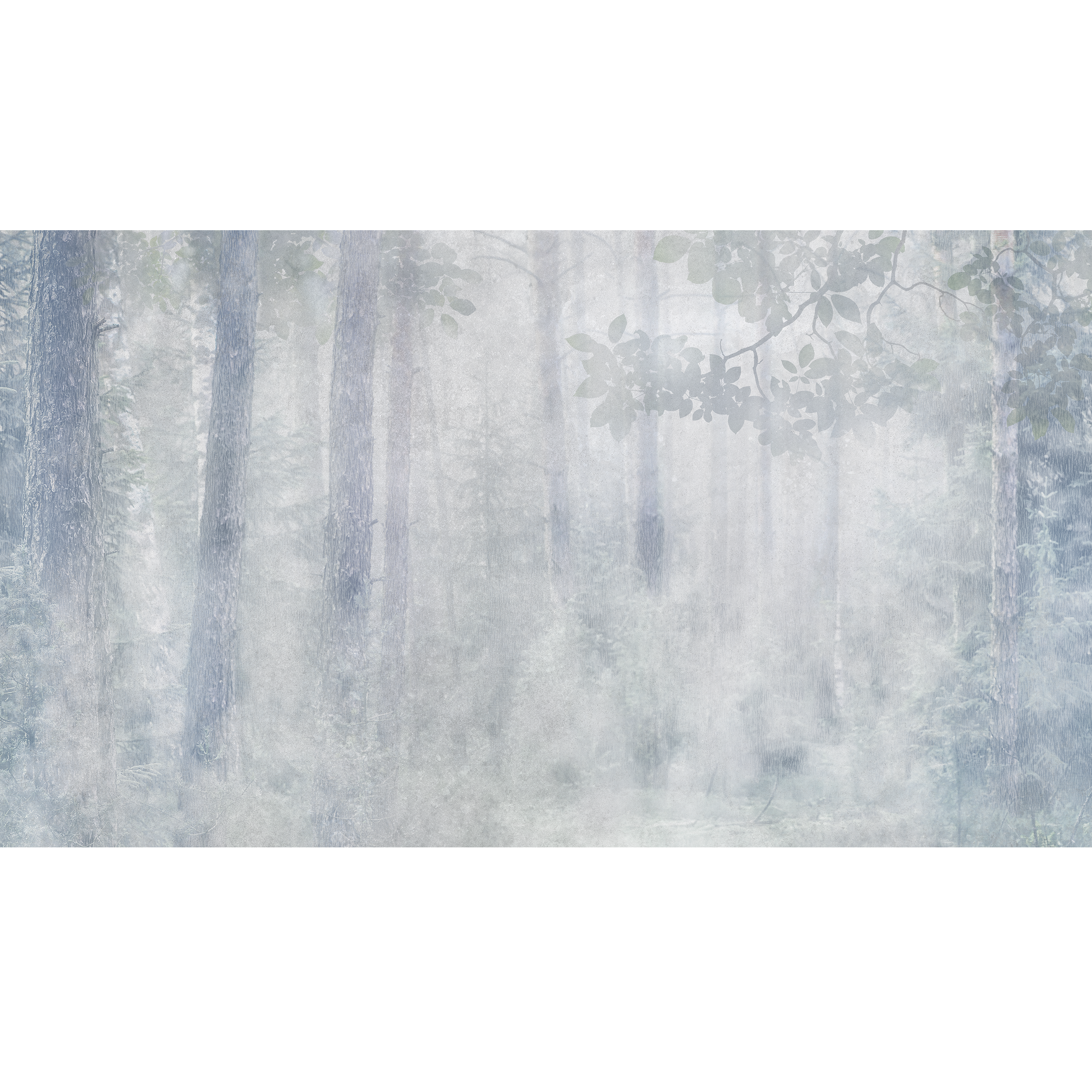 Mural Misty Las 500 x 280 cm delikatna struktura