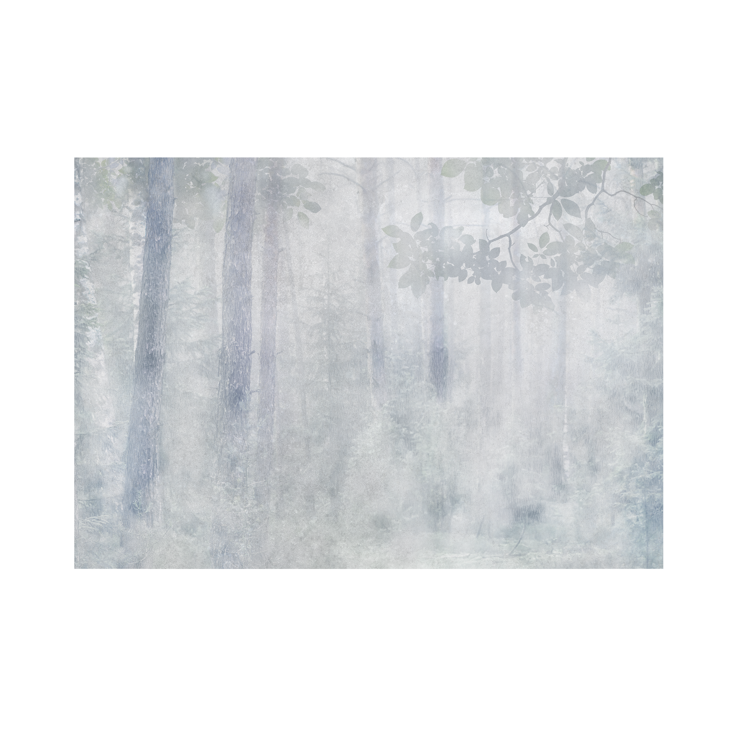 Mural Misty Las 400 x 280 cm struktura Art