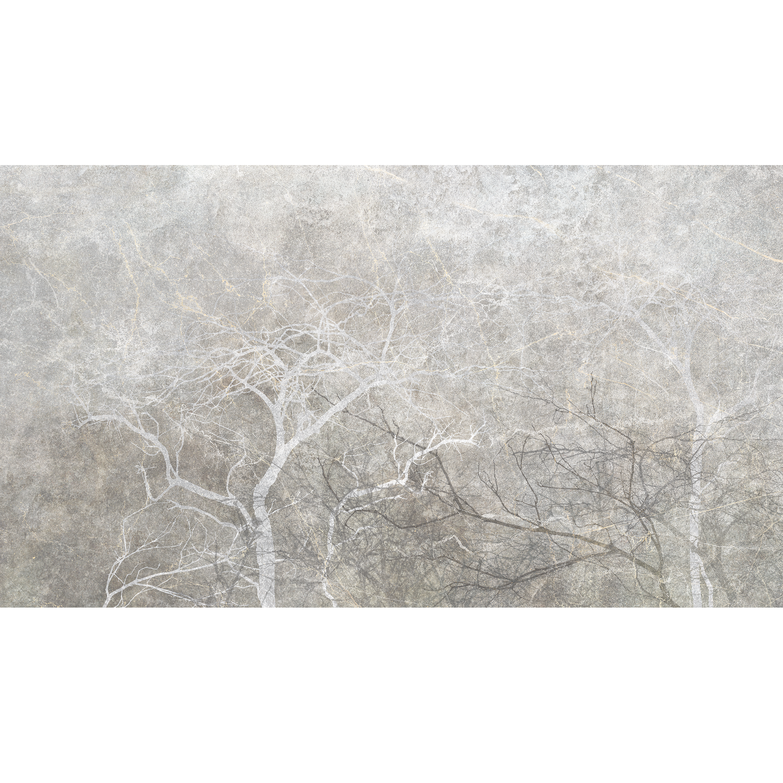 Mural Gray Fog Drzewa 500 x 280 cm struktura płótna