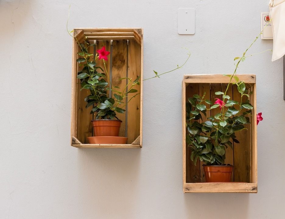 Cómo hacer cajas de madera para decorar la pared - Bricomanía