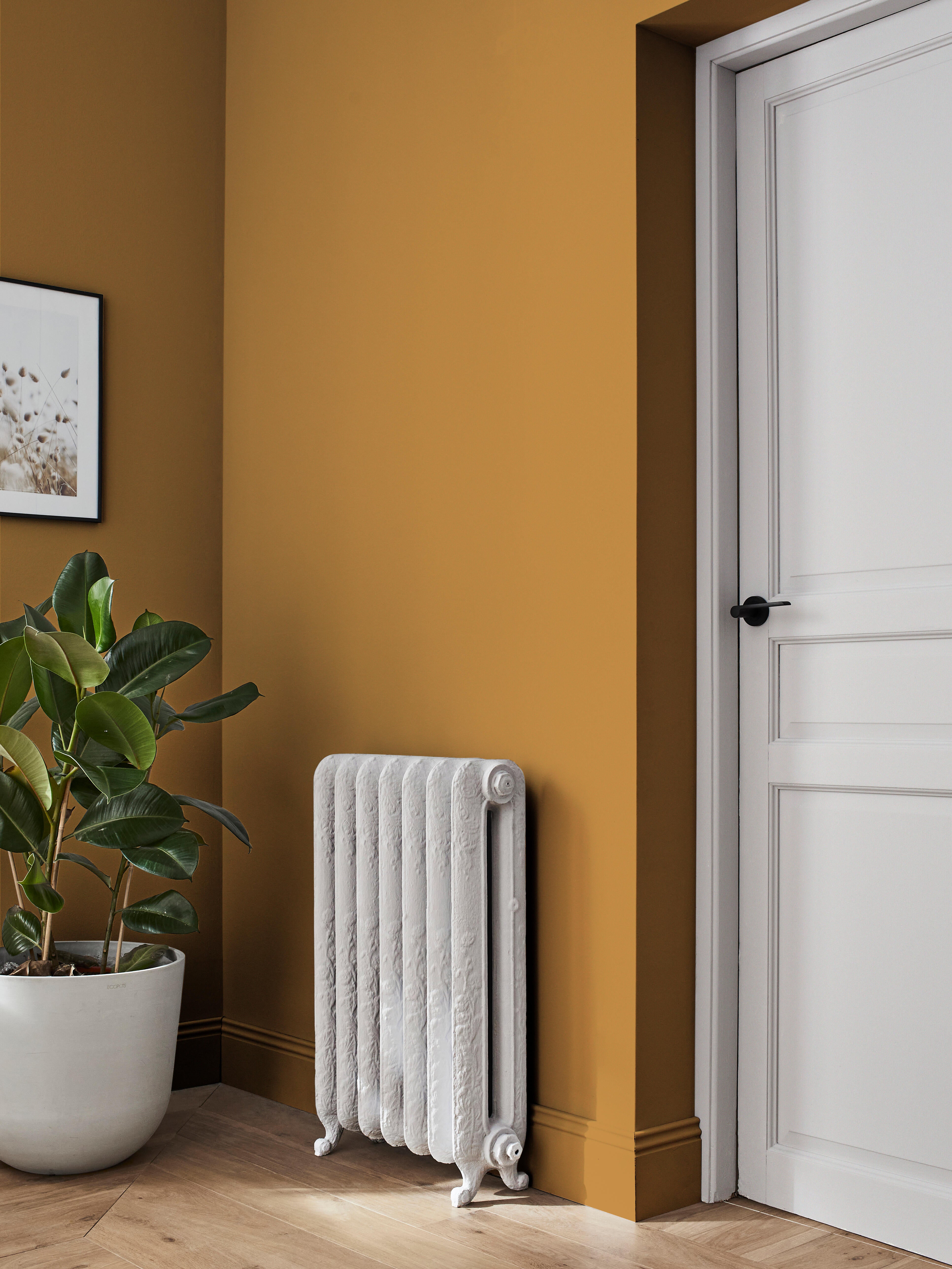 Pintura de interior salones y habitaciones LUXENS color pecan 4 mate 4L para paredes y techos - 6