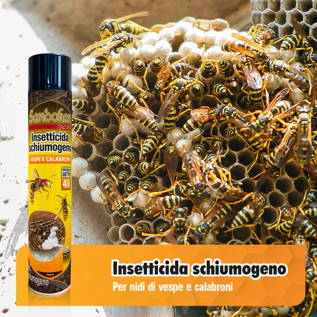 Mosche Da Pesca A Mosca In Schiuma: Scarabeo Senza Barbiglio 3 Pezzi, Affondano? No, Galleggiano!