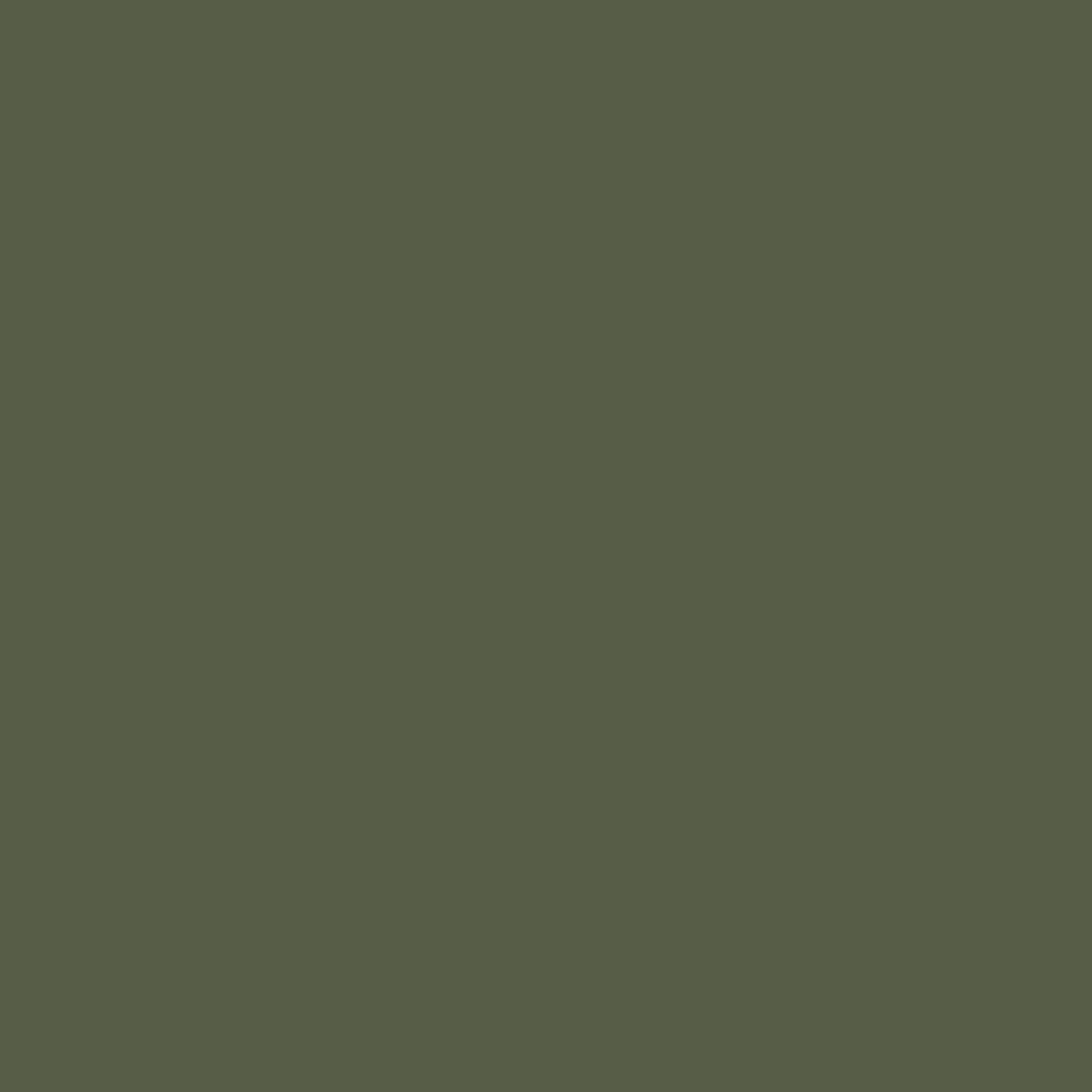 Tester farby Dulux Easycare Leśna zieleń 30 ml - 6