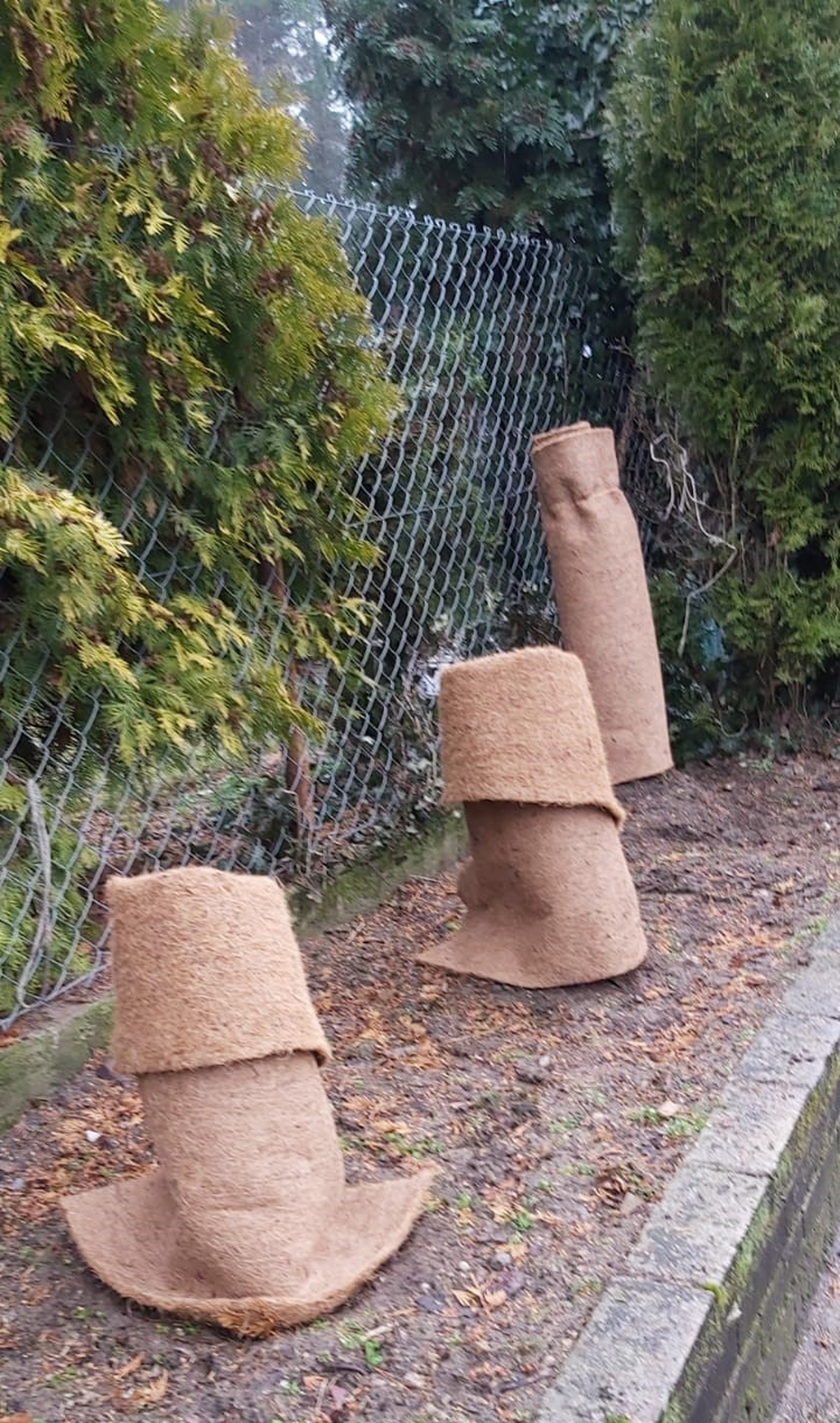 Agrowłóknina mata kokosowa brązowa 250x80cm Lustan - 2