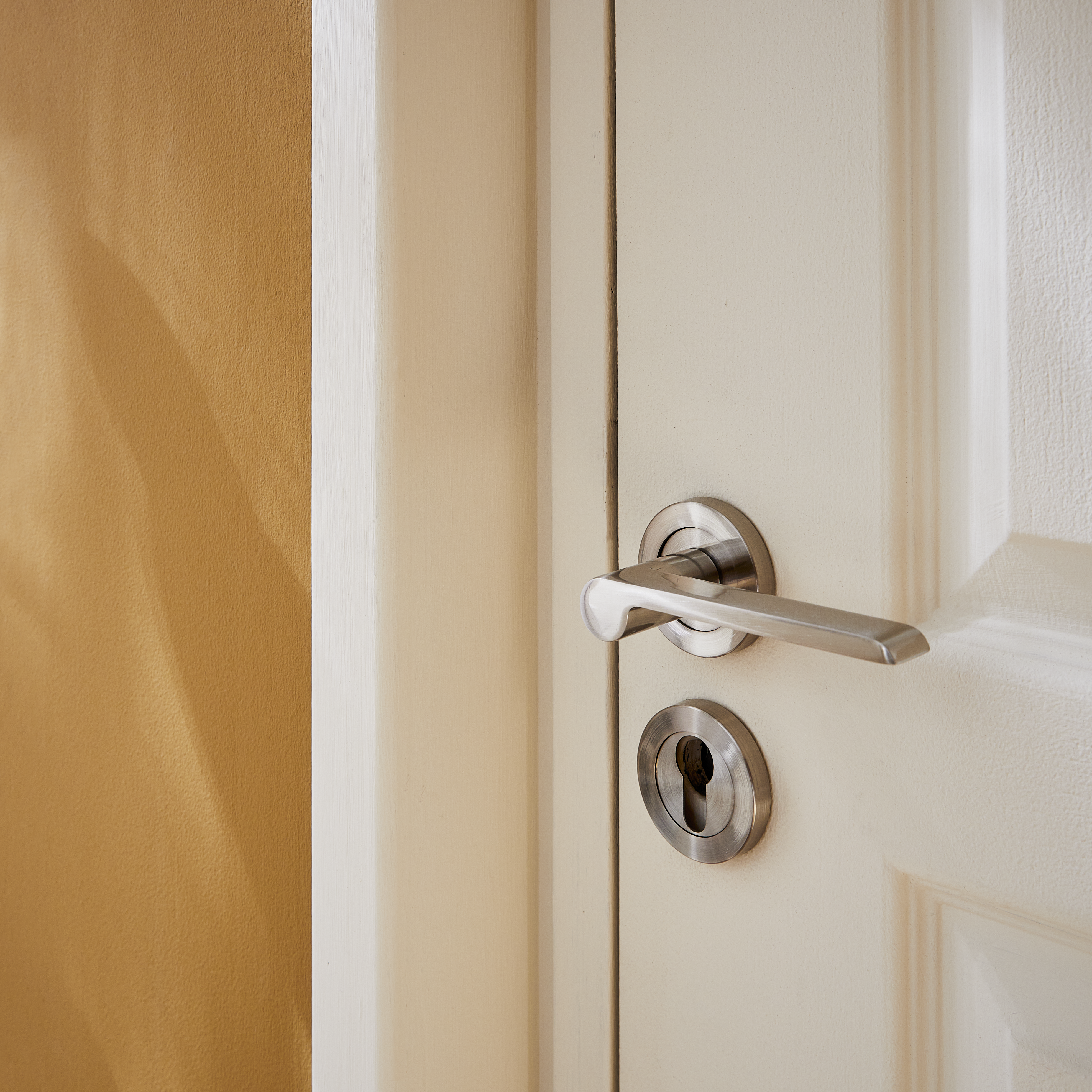 2 poignées sur rosace INSPIRE Birdie nickel brillant A2 - 7