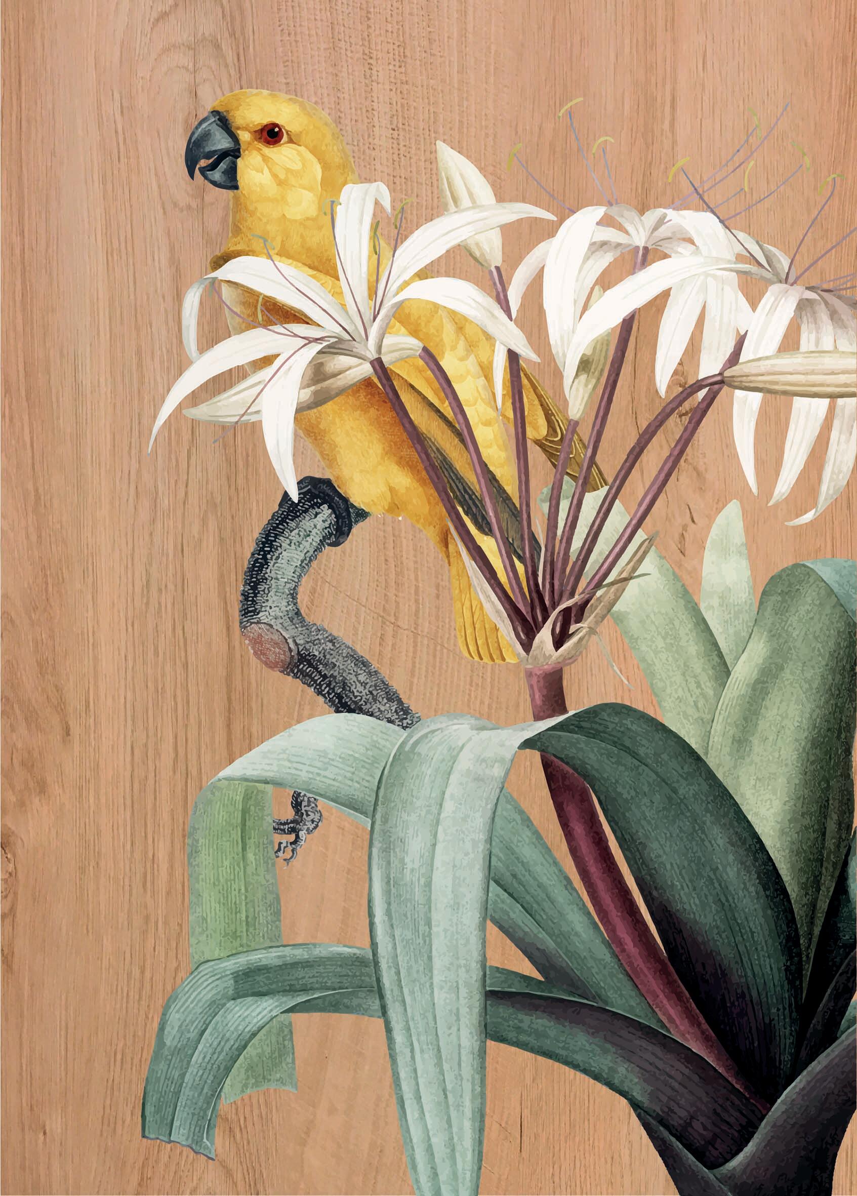 Objeto decorativo sin marco Animales rectangular de 30 x 42 cm. MDF Parrots 2 marrón - 6