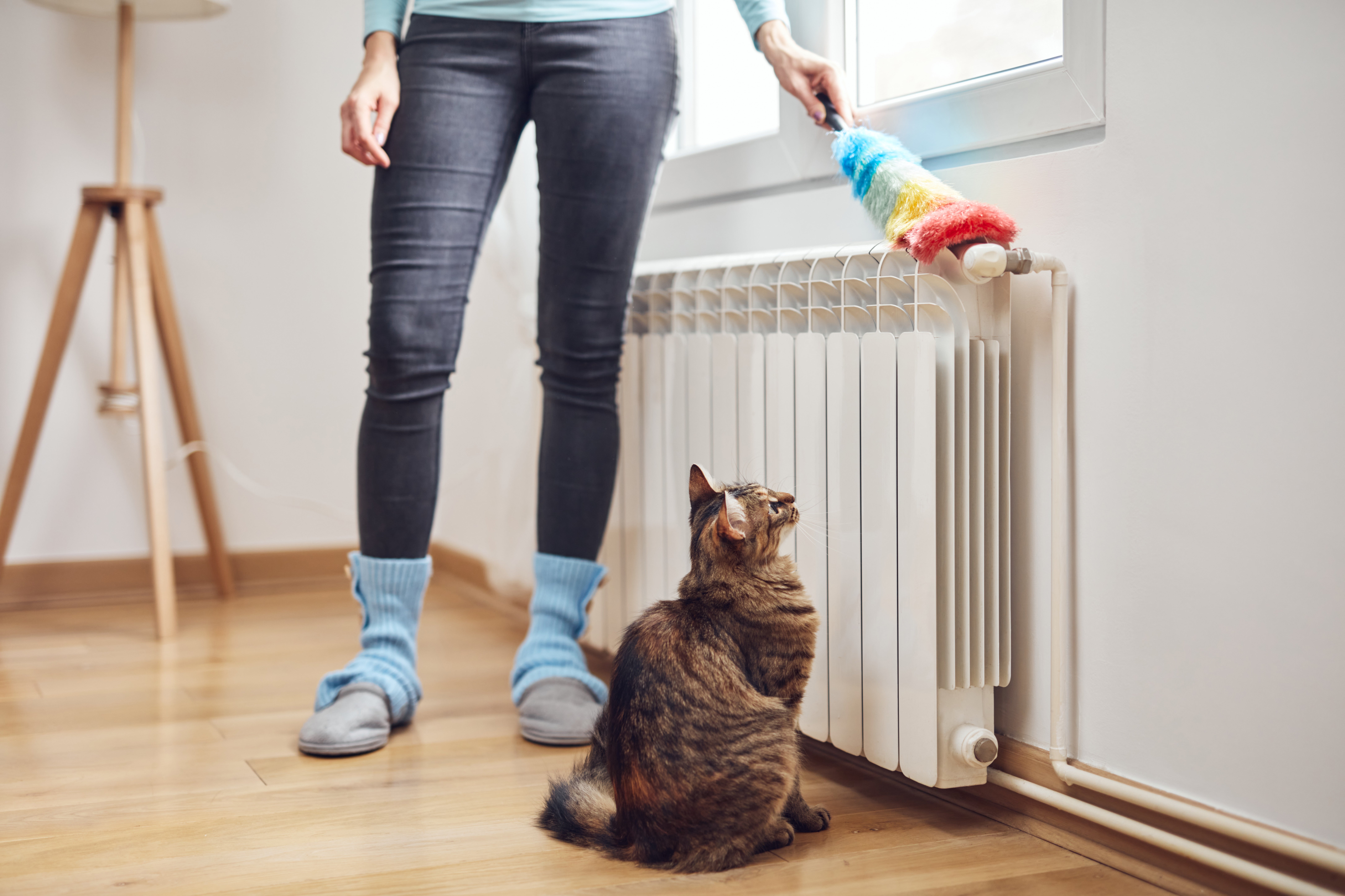 Come pulire i termosifoni: tecniche e metodi per la pulizia esterna e  interna - Cose di Casa