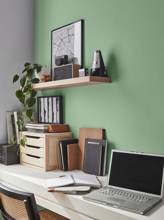 kolor farby do wnętrza multi wsparcie CACTUS zielona farba do sypialni