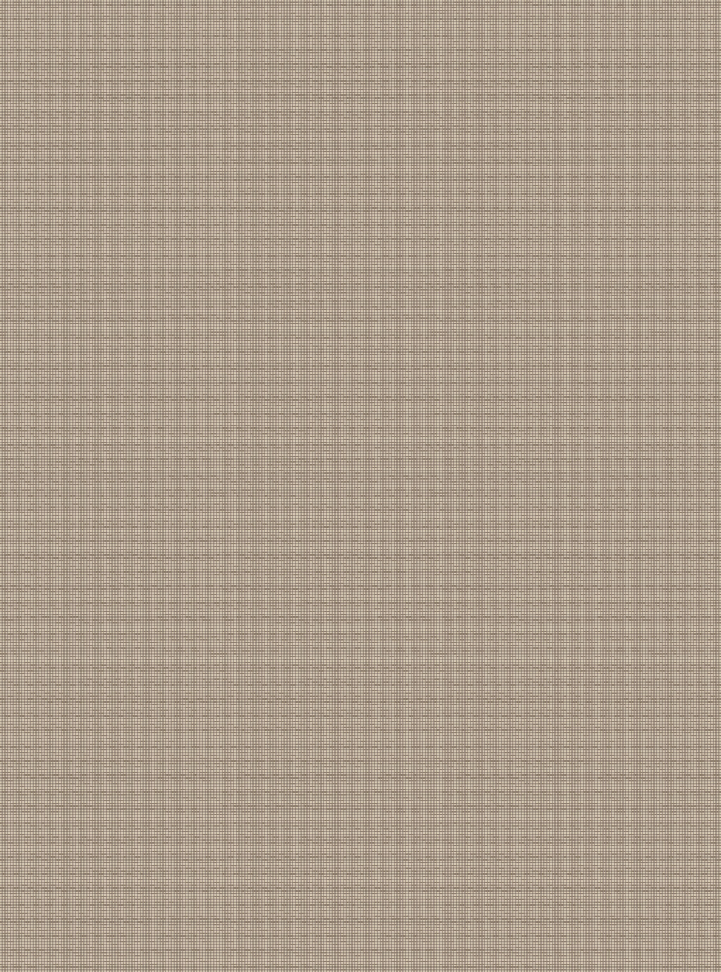 Alfombra exterior/interior polipropileno tejido plano evora liso taupe 160x230cm