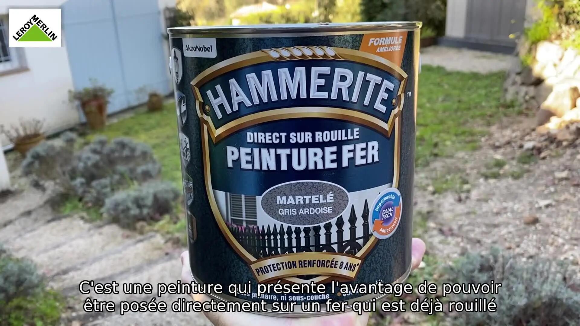 Peinture extérieure fer Martelé HAMMERITE gris ardoise mat  2.5l - 5
