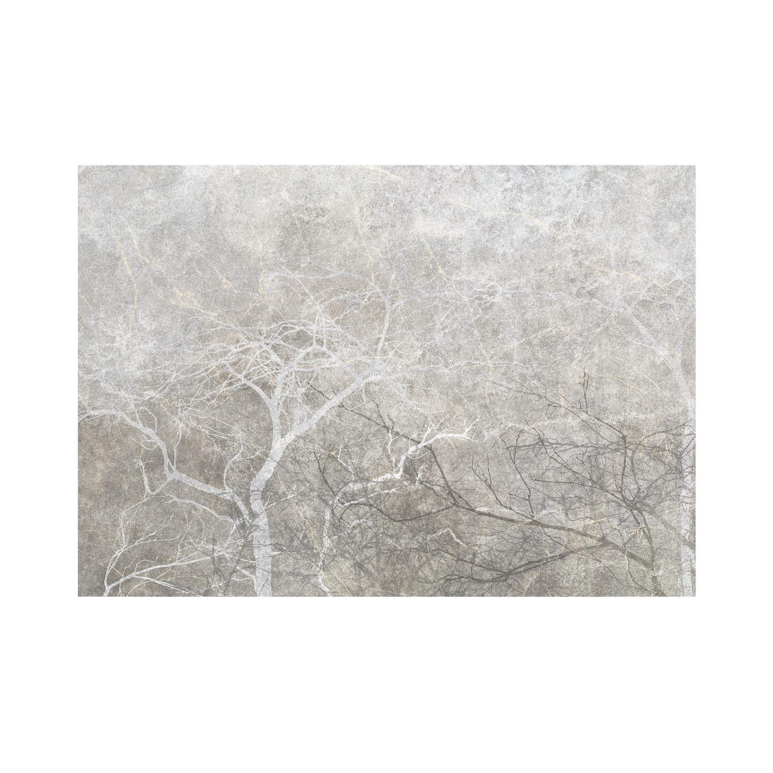 Mural Gray Fog Drzewa 400 x 280 cm delikatna struktura