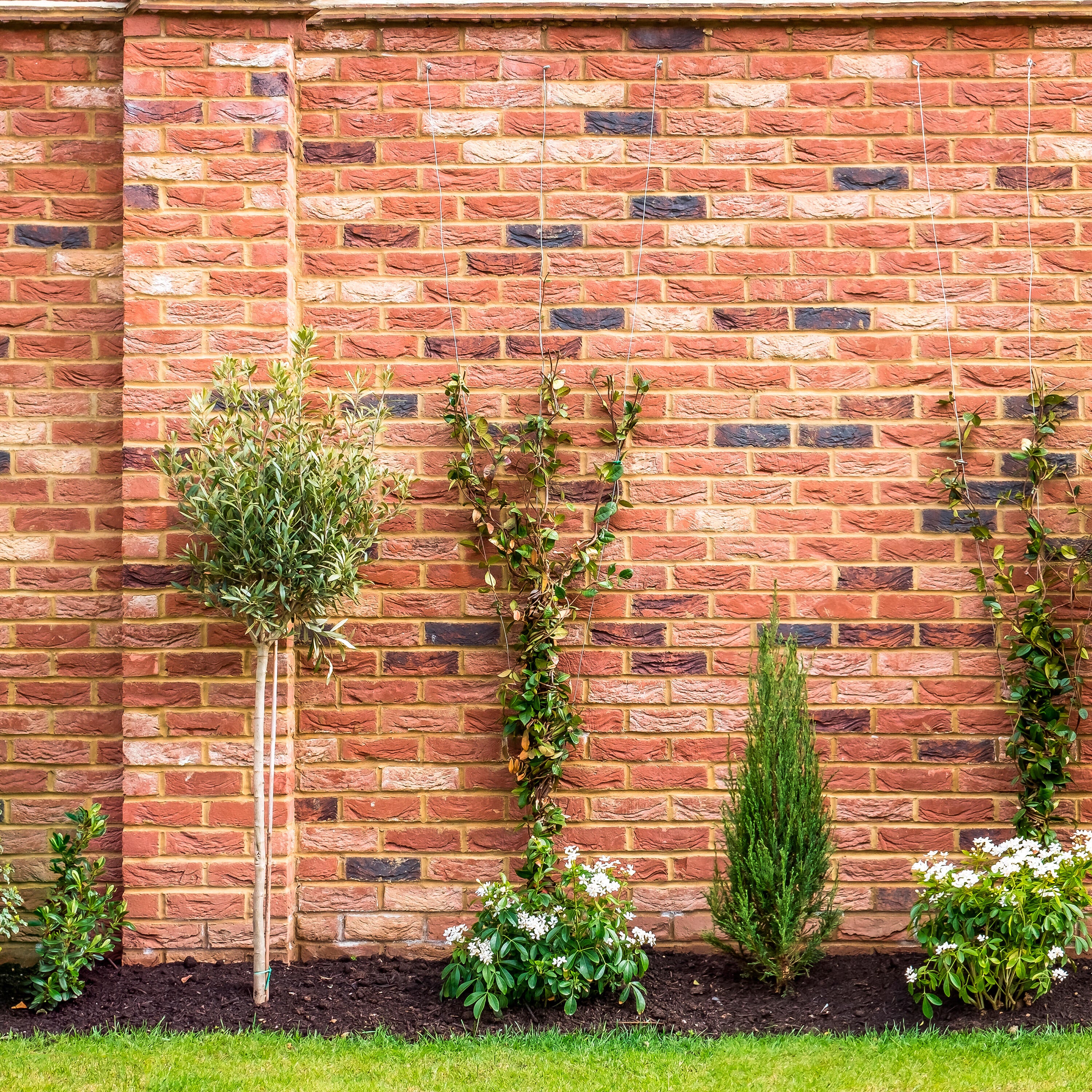 Trattamento idrorepellente AXTON incolore 4L - 3