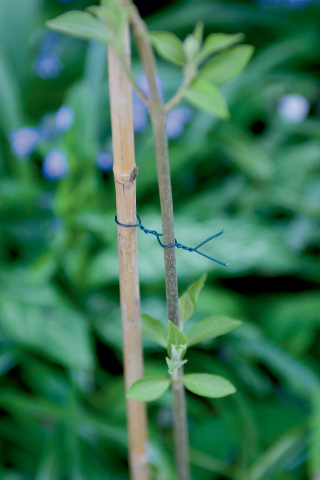 Ficelle acier vert, longueur 25 m NORTENE - 2