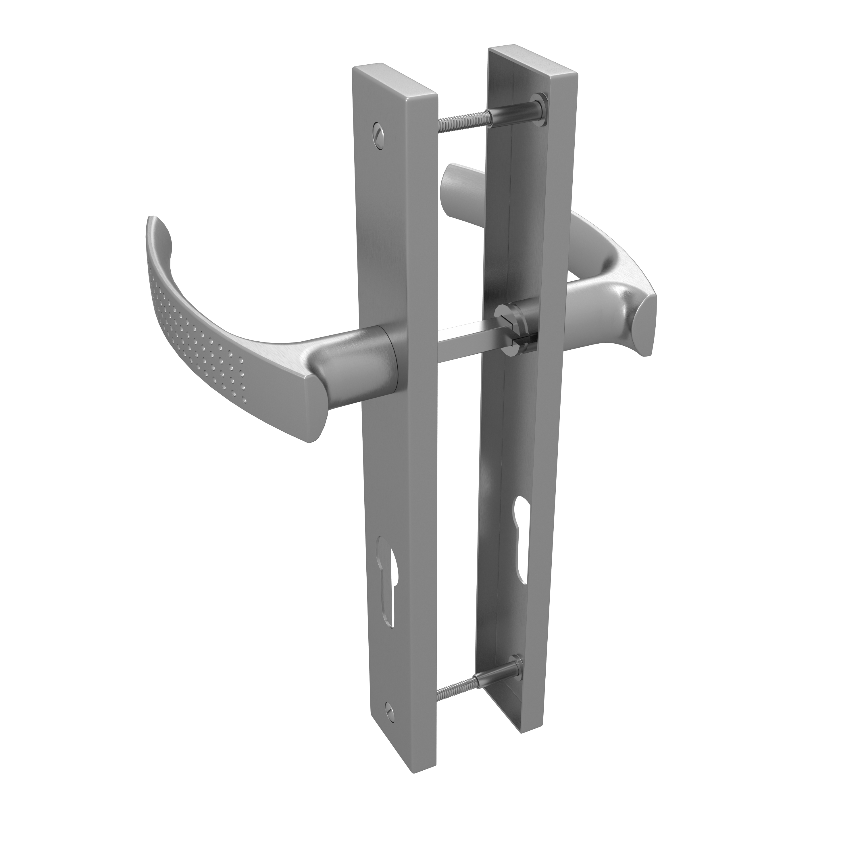 Poignée de porte sur plaque aspect nickel entraxe 195 mm Clé en I ILDA x2 - 2