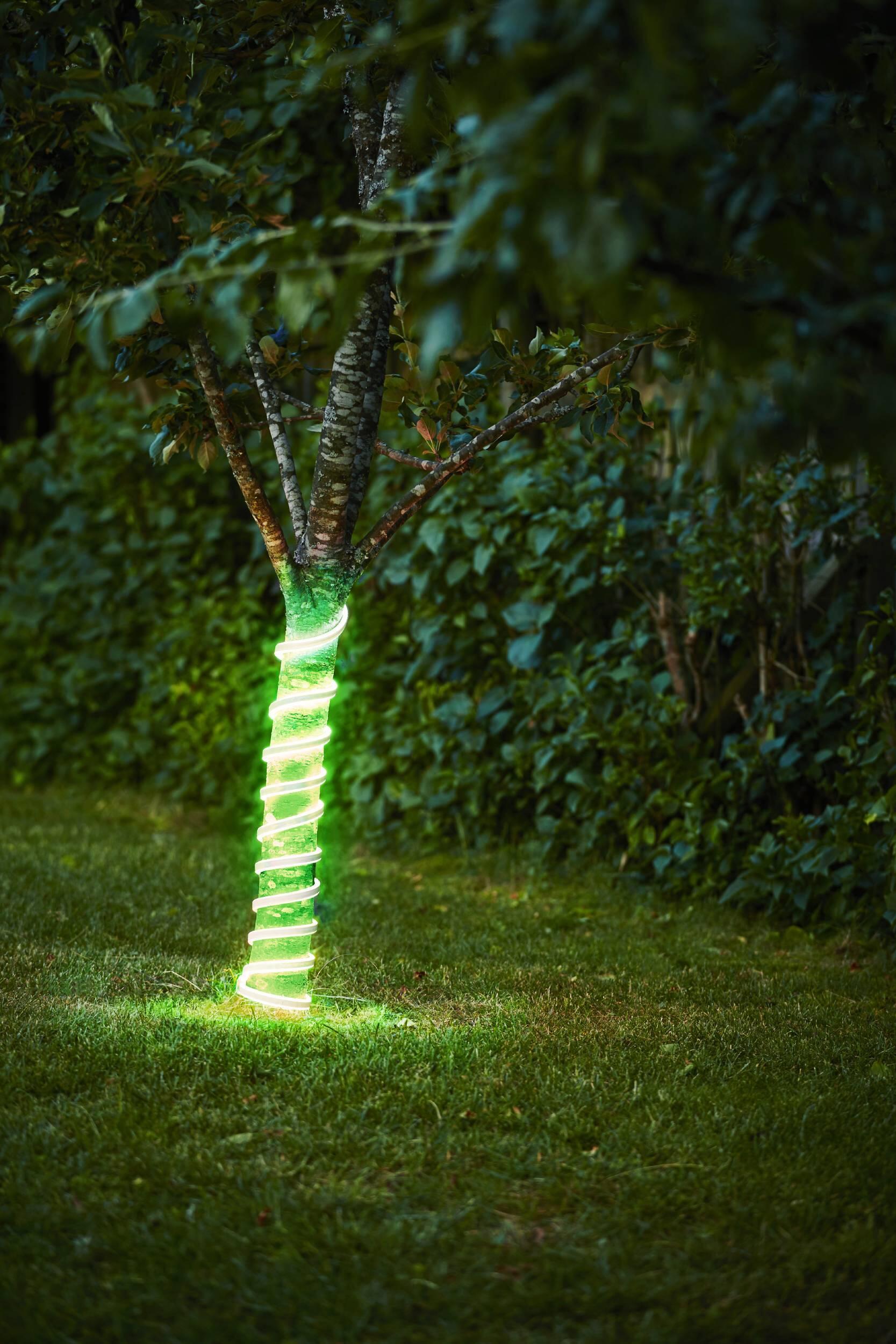 Striscia led 5m luce verde EGLO - 2