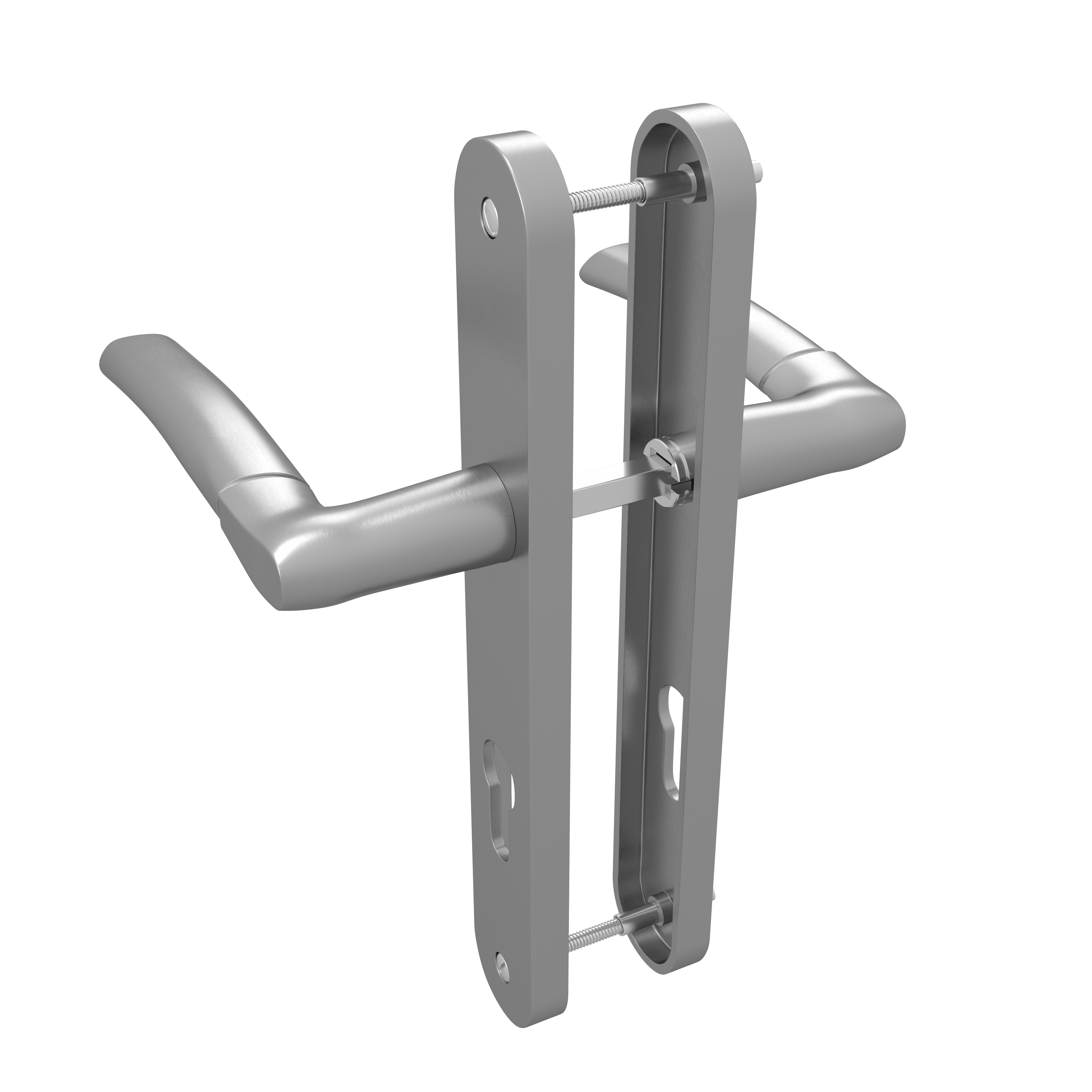 2 poignées porte entrée sur plaque cylindre Eina zamak brillant, entraxe 195 mm - 5