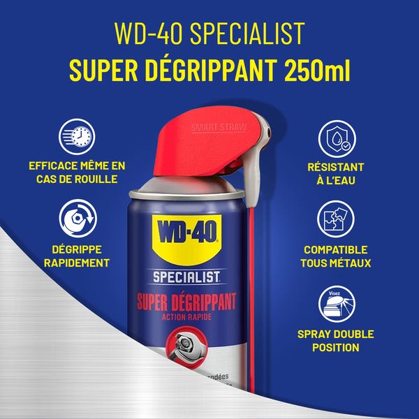 Super dégrippant spécialist WD 40 10T : le spray de 250ml à Prix Carrefour