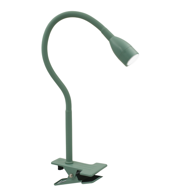 Lampe de bureau Gao, fer, vert, H.35 cm, INSPIRELED