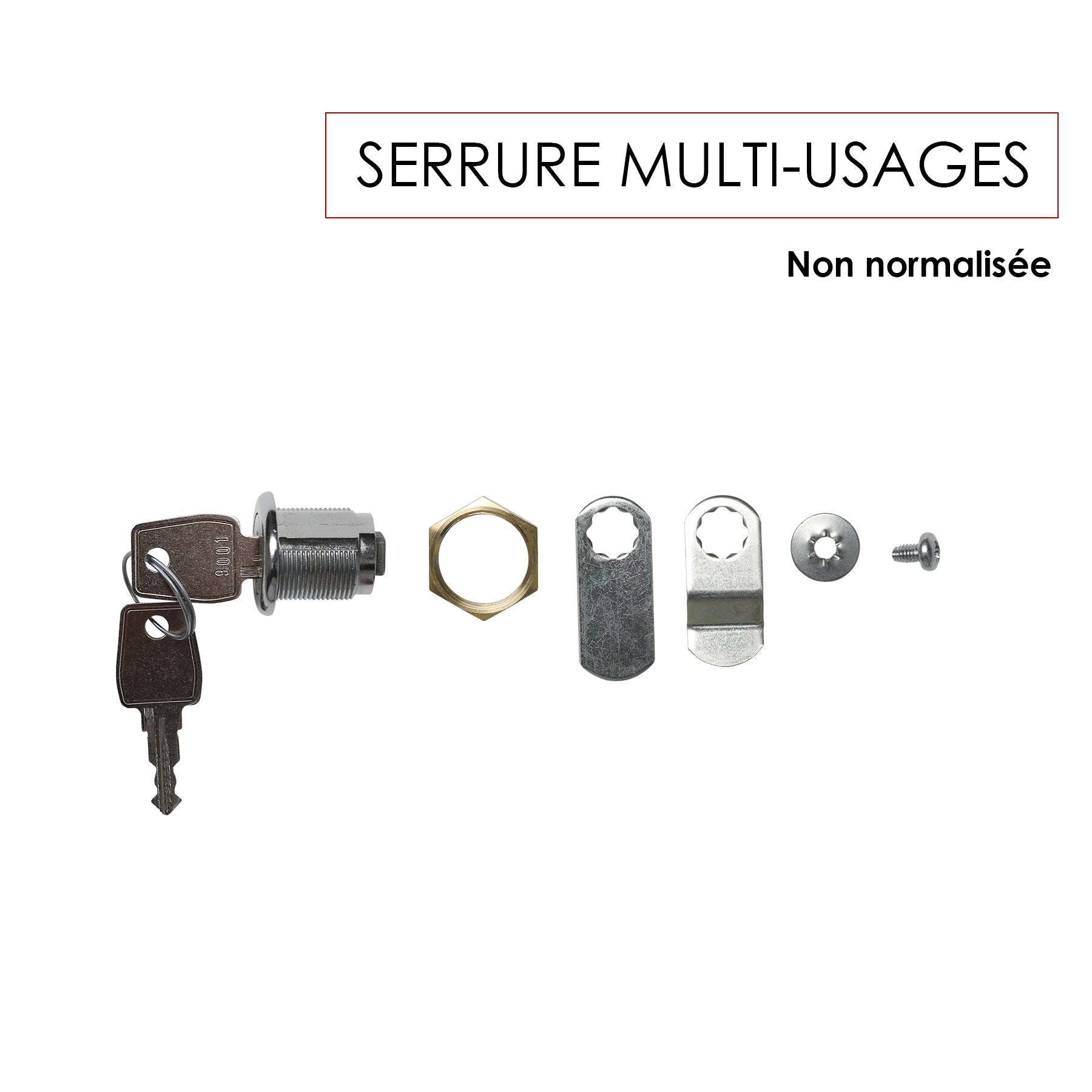 Serrure multi-usages RENZ, H.3 x l.3 x P.4 cm - 3
