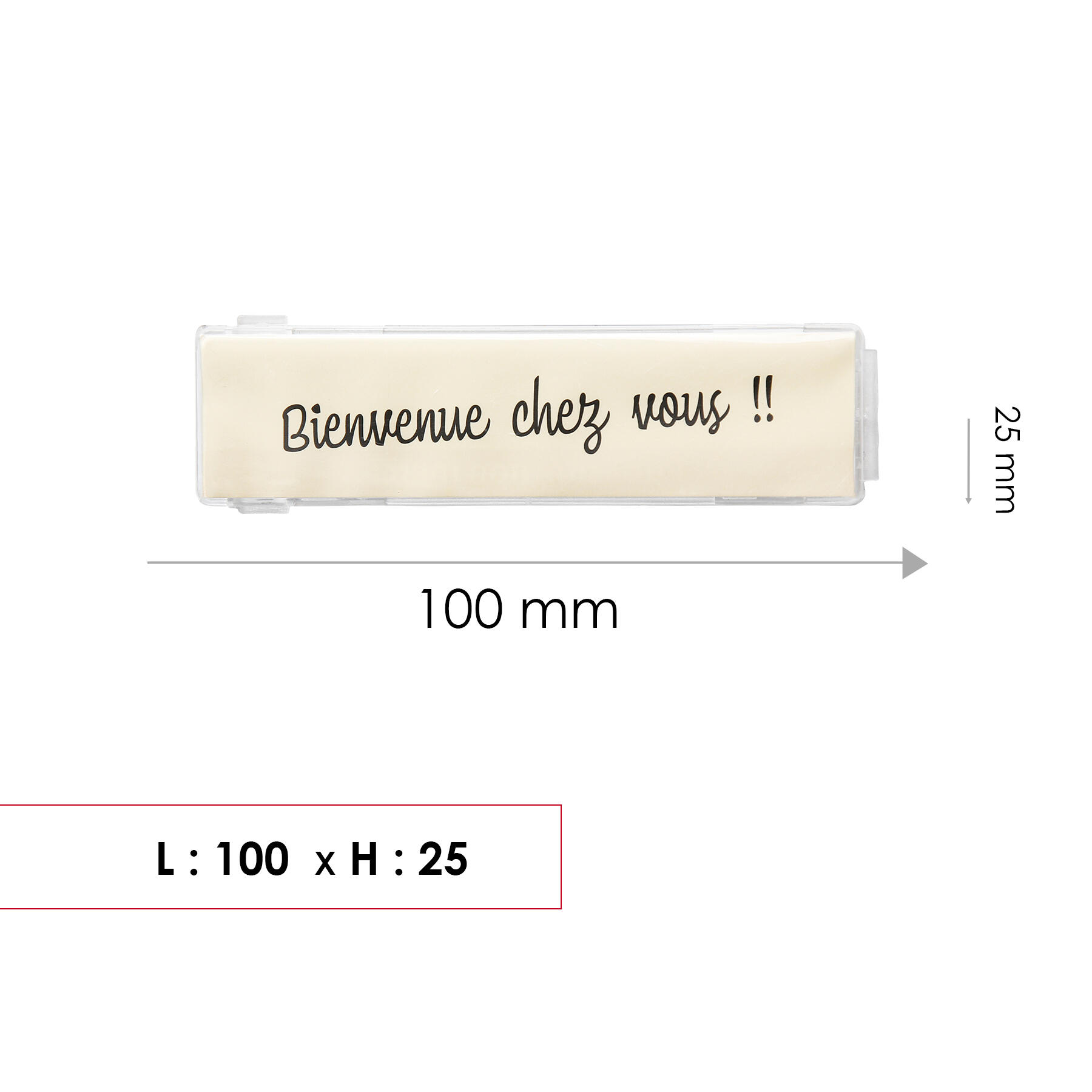 Porte-nom, pour boîte aux lettres H.2.8 x l.10.3 x P.0.5 cm RENZ, transparent - 2
