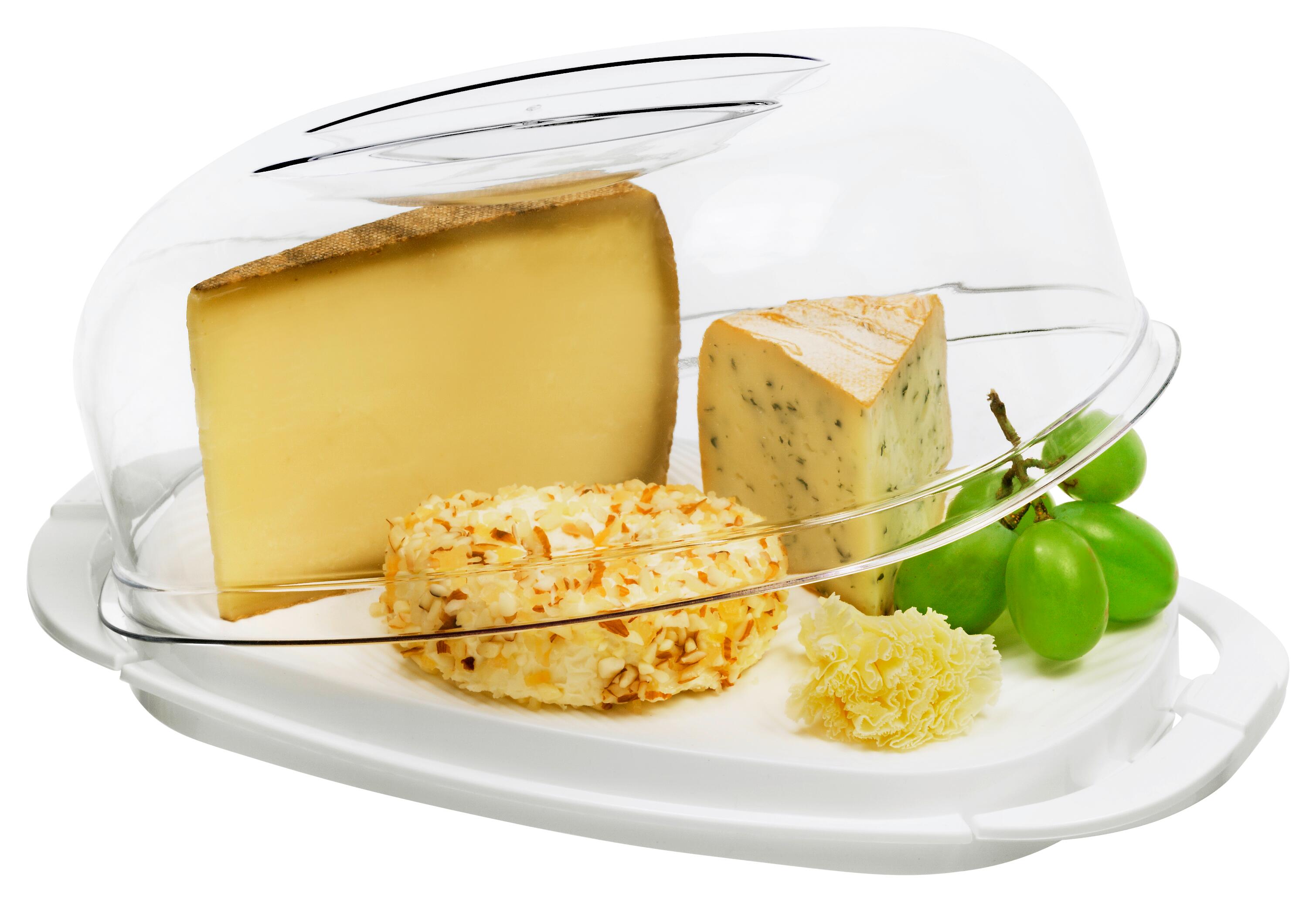 Cloche a fromage plast blanc 29x17x10,5 Leroy Merlin — free download