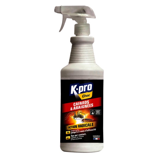 Destructeur d'insecte cafard et araignée K.PRO 1l