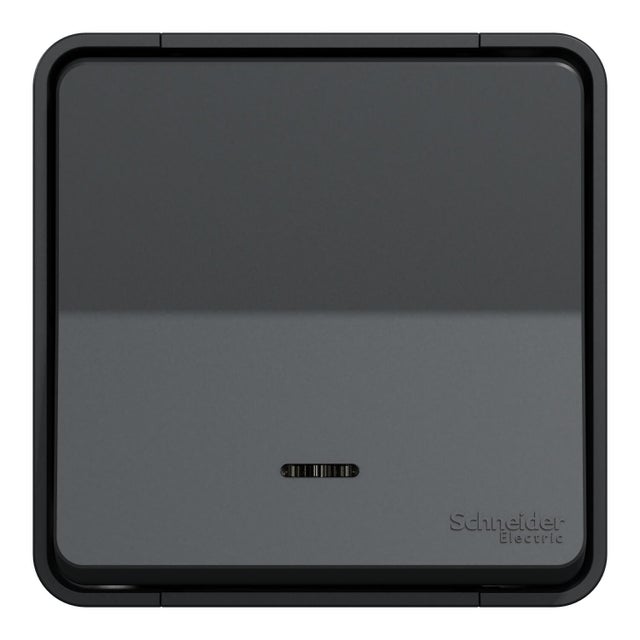 Interrupteur lumineux saillie Mureva Styl, SCHNEIDER ELECTRIC, anthracite