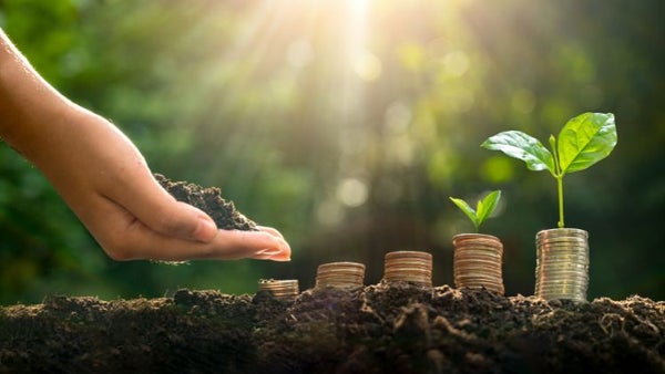 Les semences Vilmorin, du pouvoir d'achat en sachets.