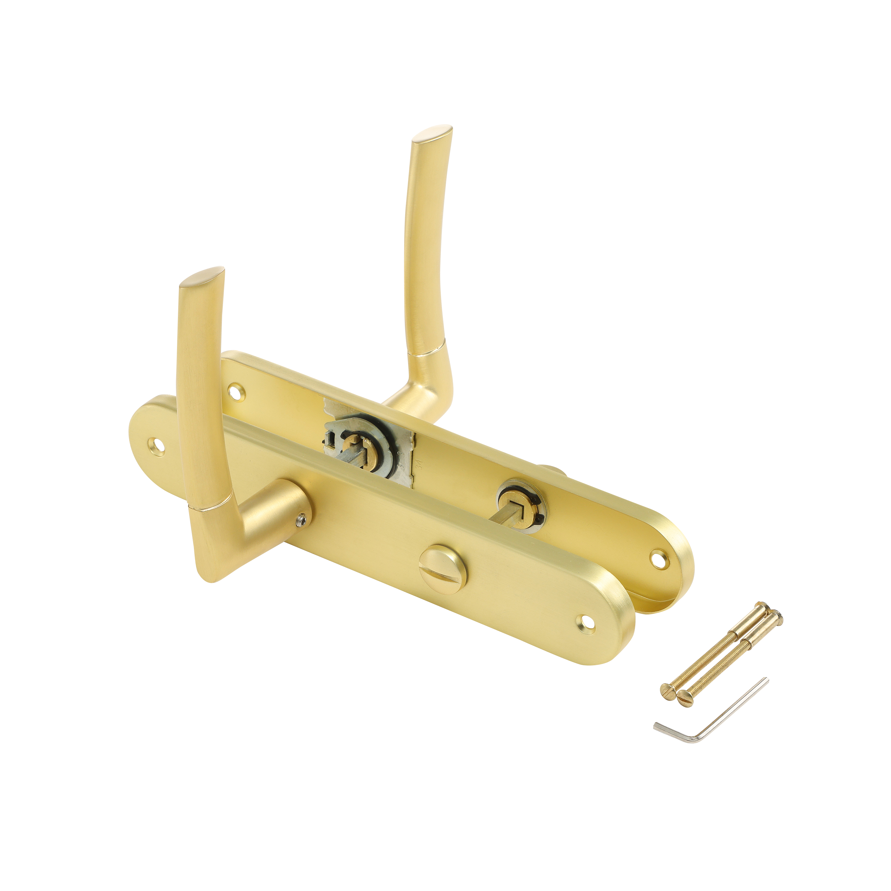 2 poignées sur plaque à condamnation Eina alu laiton brossé, entraxe 195 mm - 6