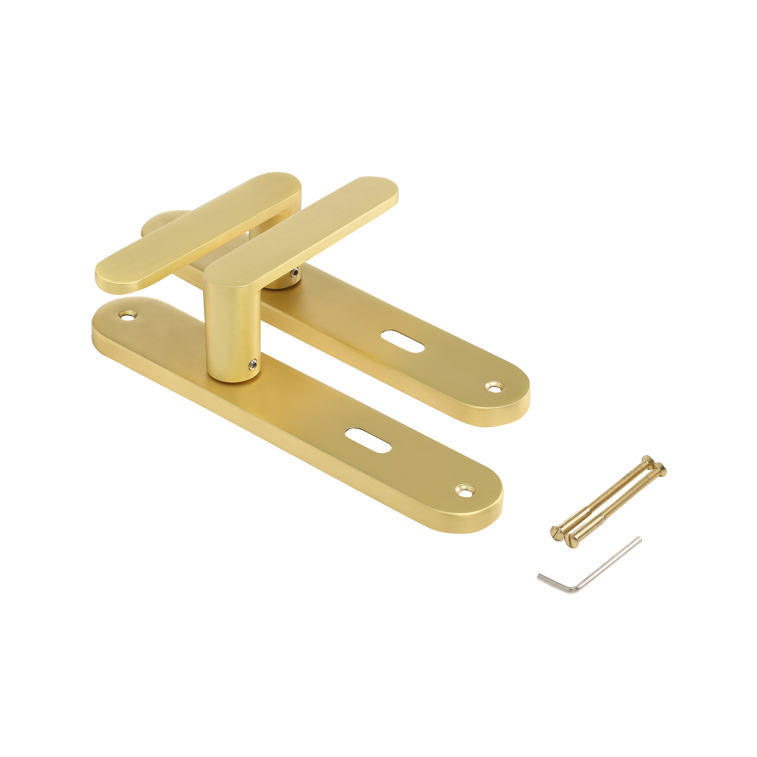 2 poignées sur plaque à clé Java aluminium laiton mat, entraxe 195 mm - 5