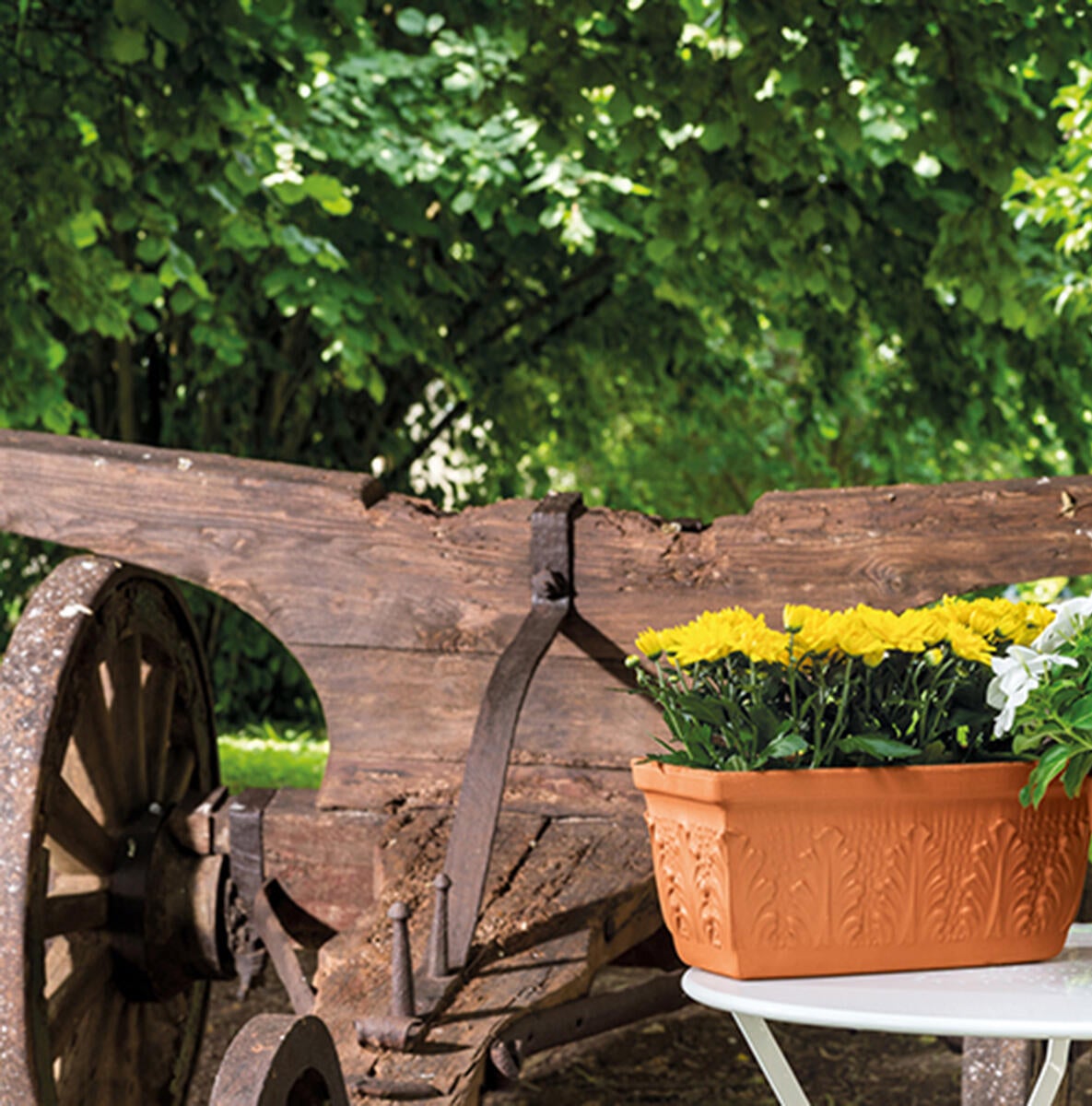 Fioriera Roma in terracotta terracotta H 22 x L 52 x P 19.1 cm - 2