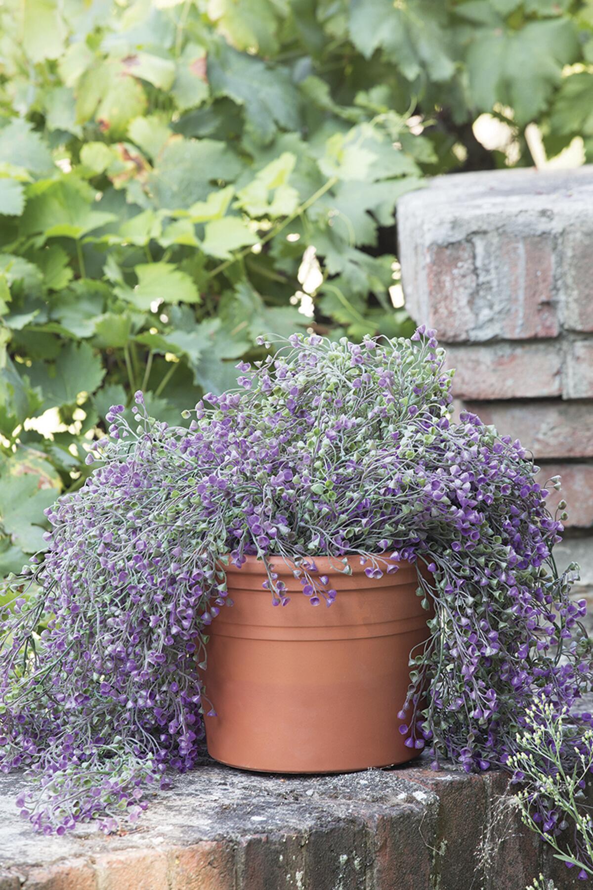 Vaso Rigato in terracotta terracotta H 23 x ø 28 cm - 2