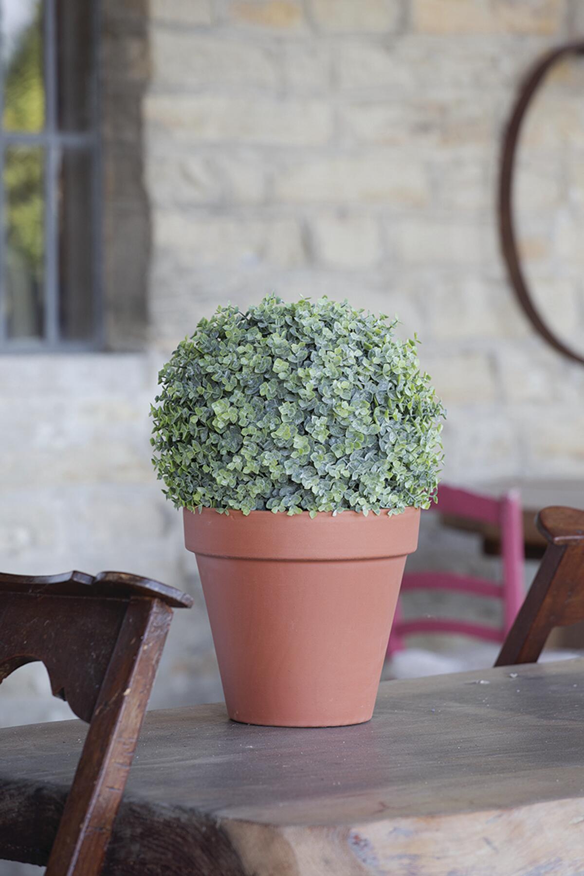 Vaso Comune in terracotta terracotta H 15.3 x ø 17 cm - 2