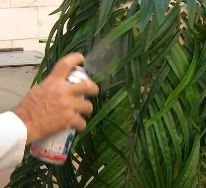 Senhor a aplicar o primário nos ramos de uma planta artificial 