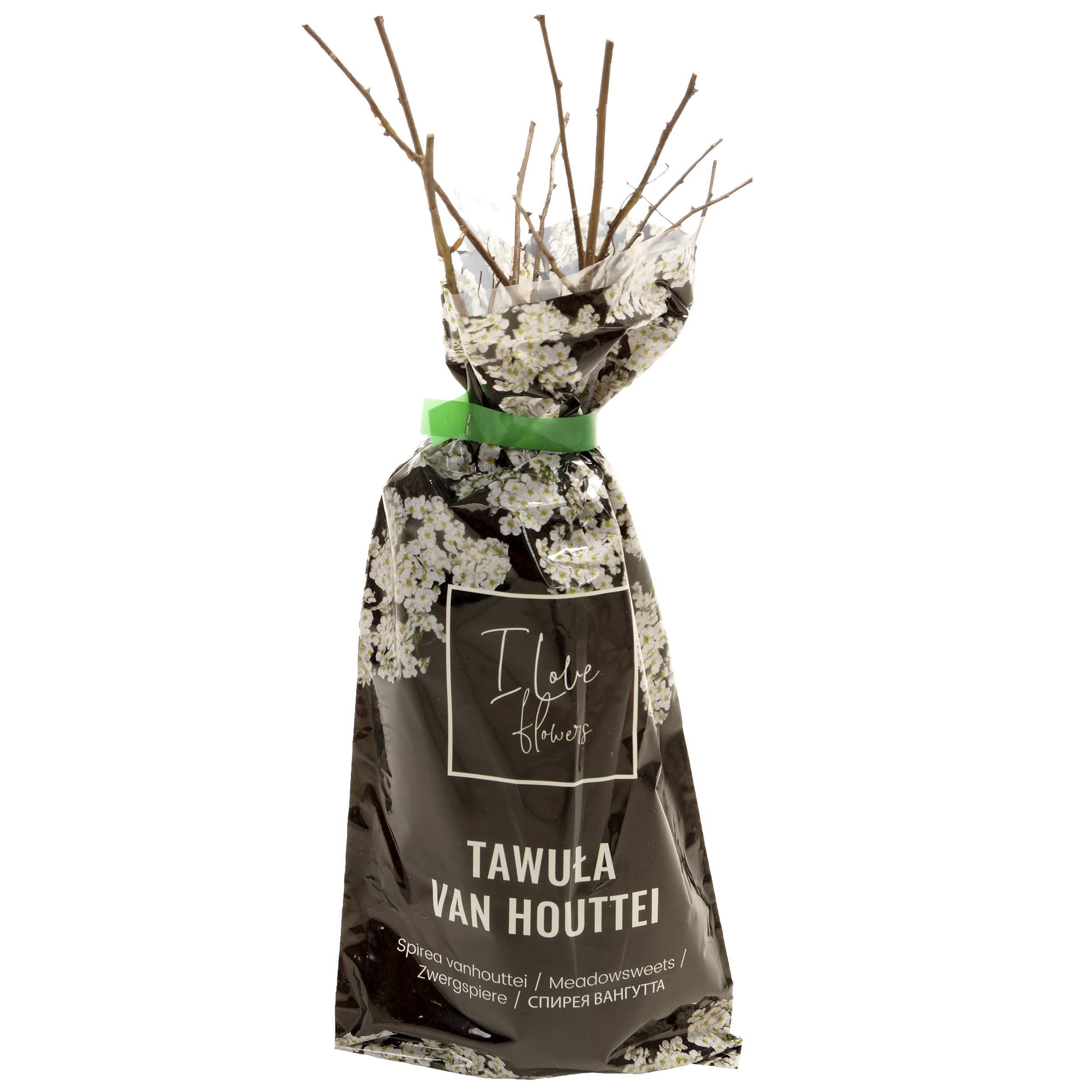 Tawuła Van Houttei 35cm Berry&amp;More™