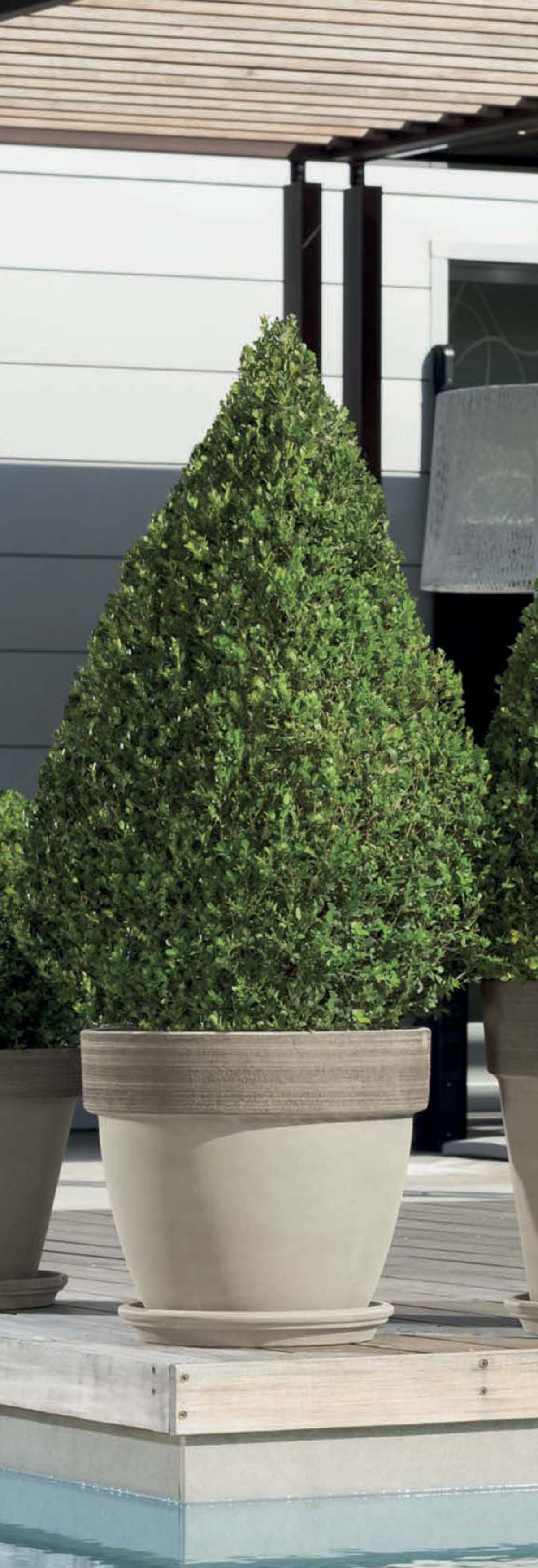 Vaso Palladio in terracotta vulcano graffiato H 13.5 x ø 16 cm - 2