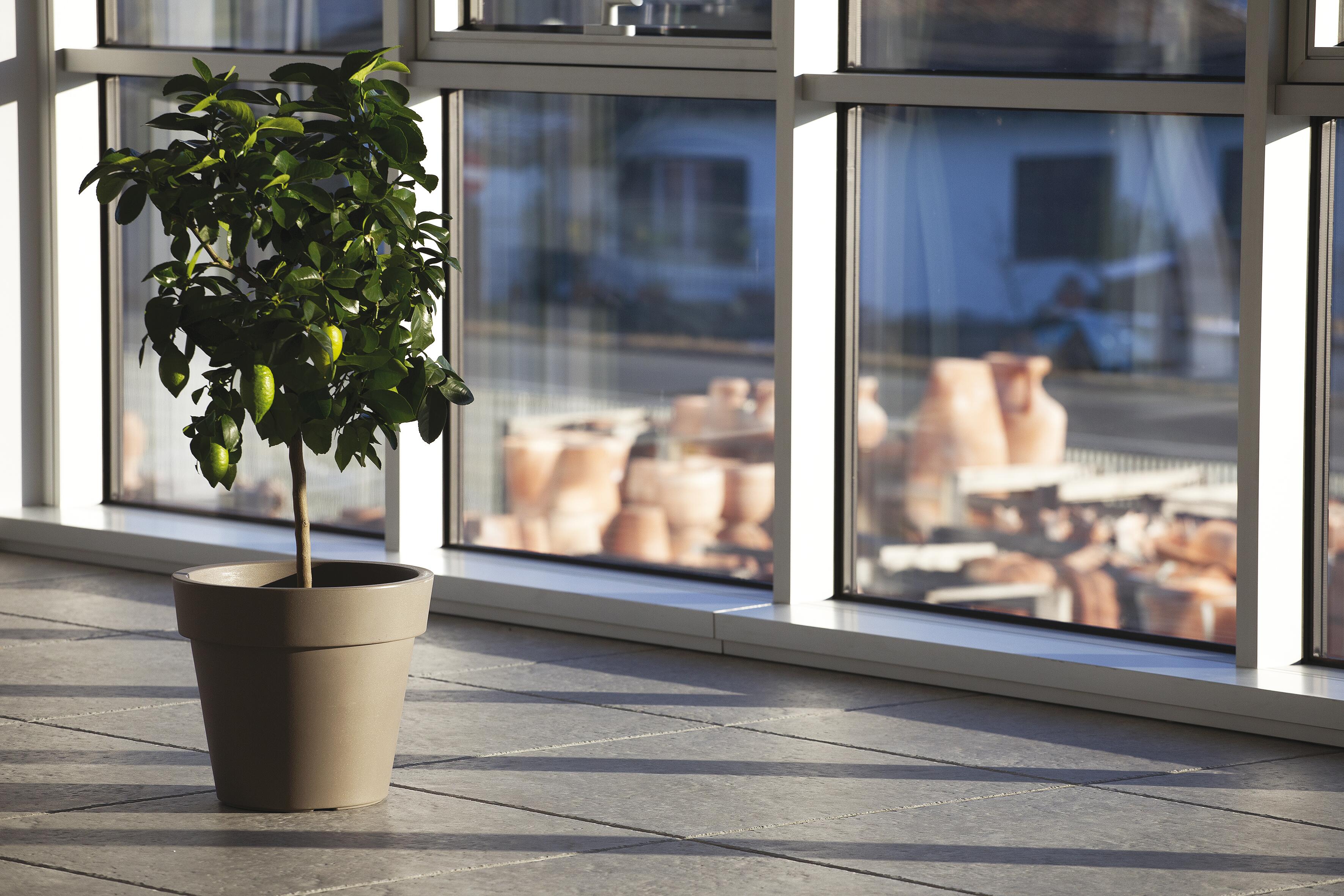 Vaso Super in polietilene tortora H 52 x ø 60 cm - 2