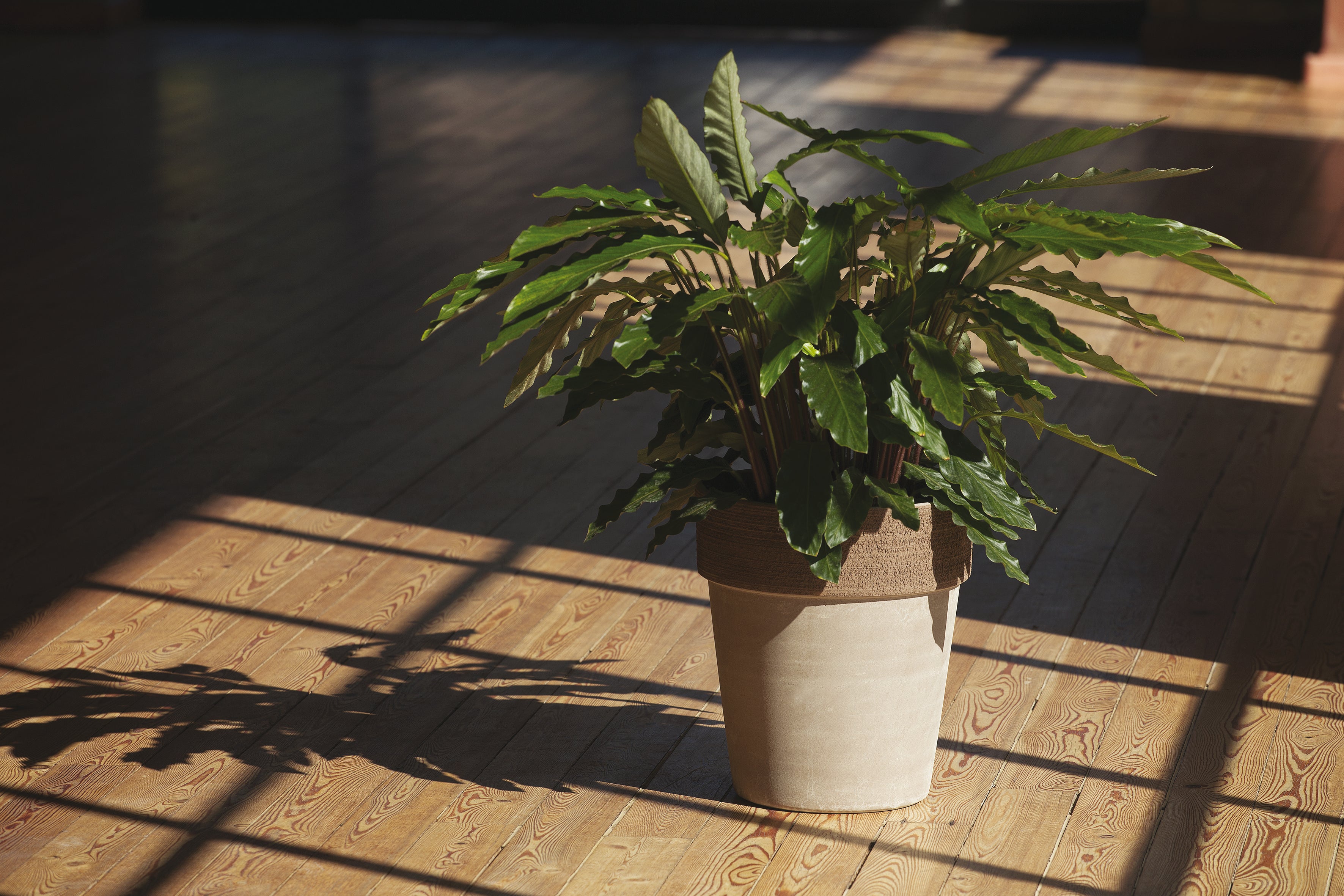 Vaso Vulcano in terracotta terracotta H 30 x ø 27 cm - 2