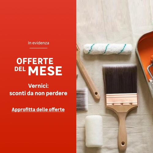 Offerte Vernici