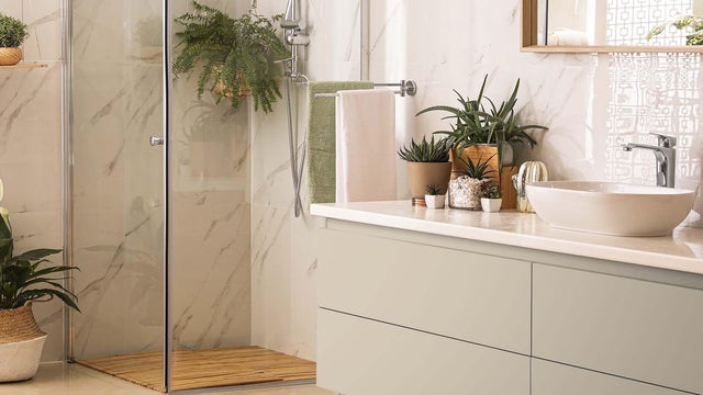 plantas baño