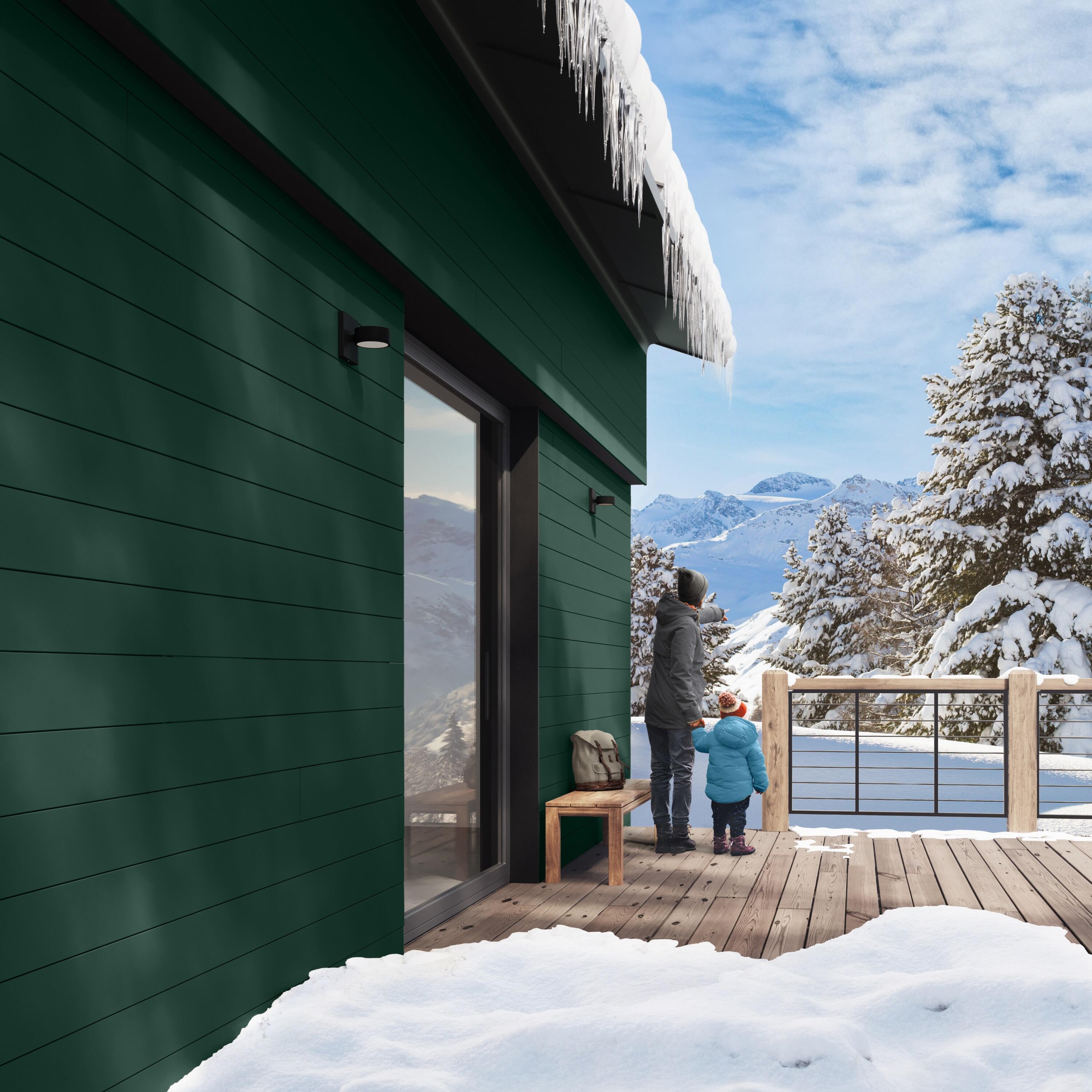 Peinture extérieure bois Climats extrêmes® V33 vert basque satiné 0.5l - 3