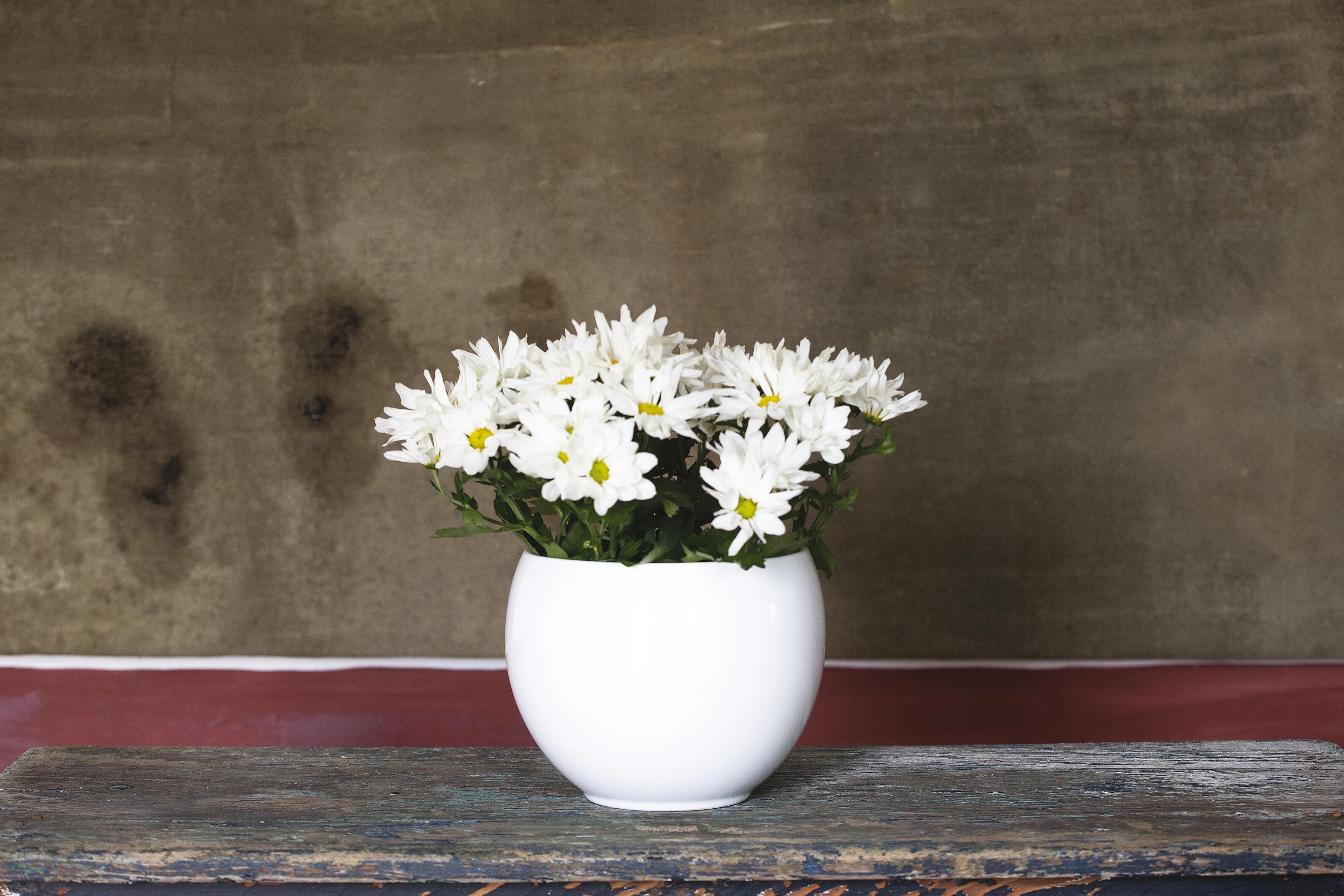 Coprivaso Luna in ceramica bianco H 12.5 x ø 16.8 cm - 2