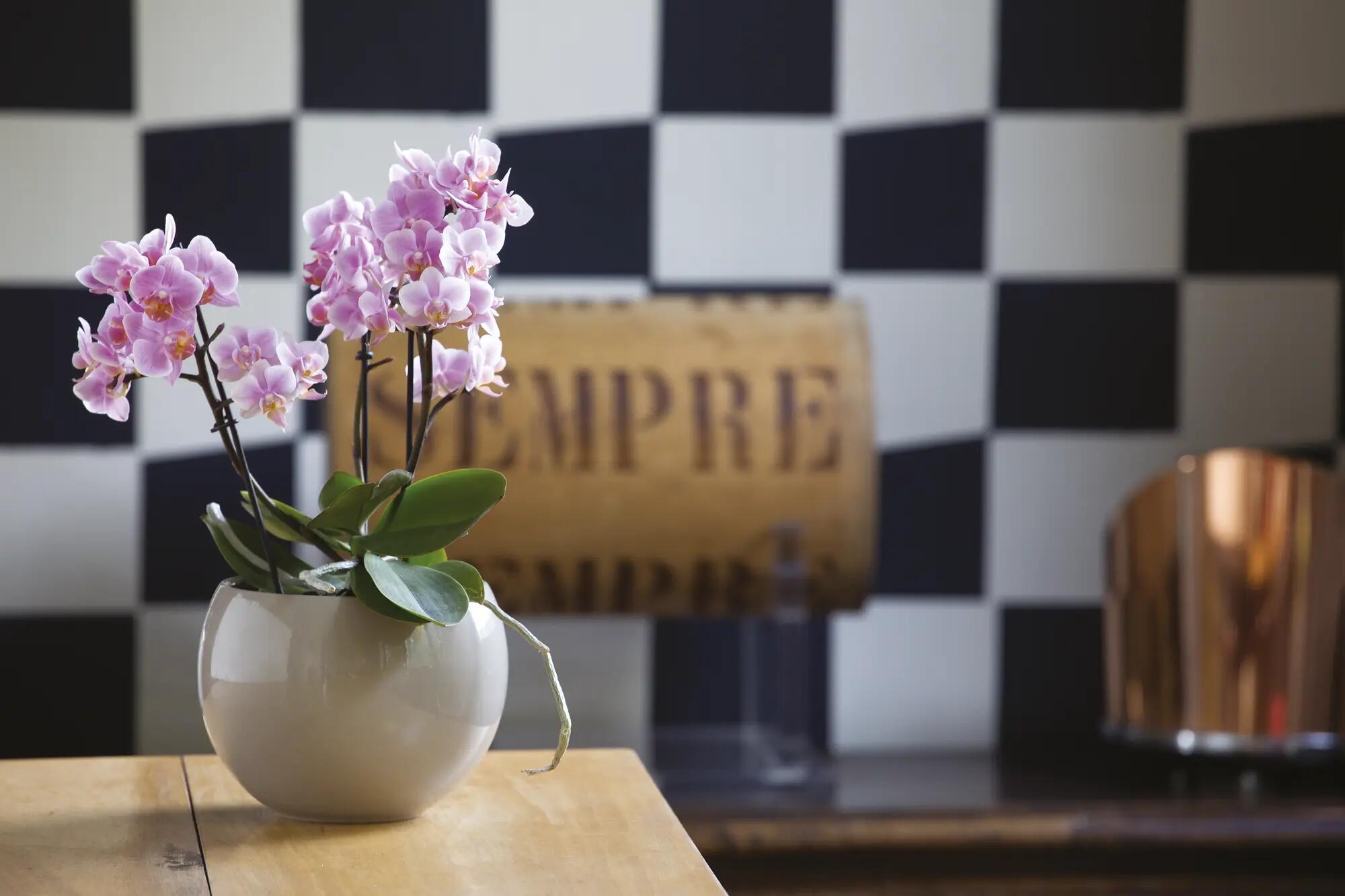 Coprivaso Luna in ceramica tortora H 17.5 x ø 23.5 cm - 2