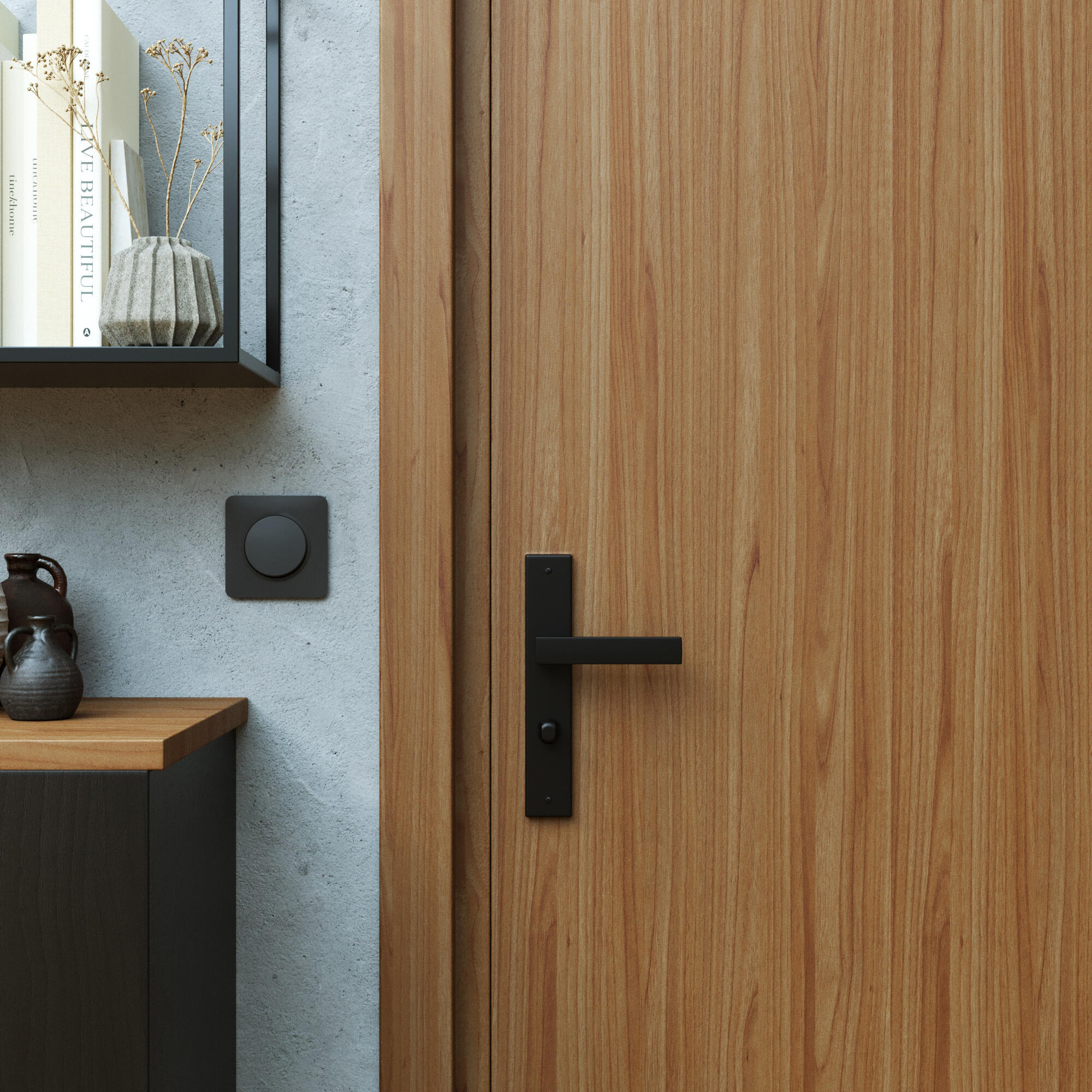 2 poignées sur plaque à clé Abby aluminium noir mat, entraxe 195 mm - 2