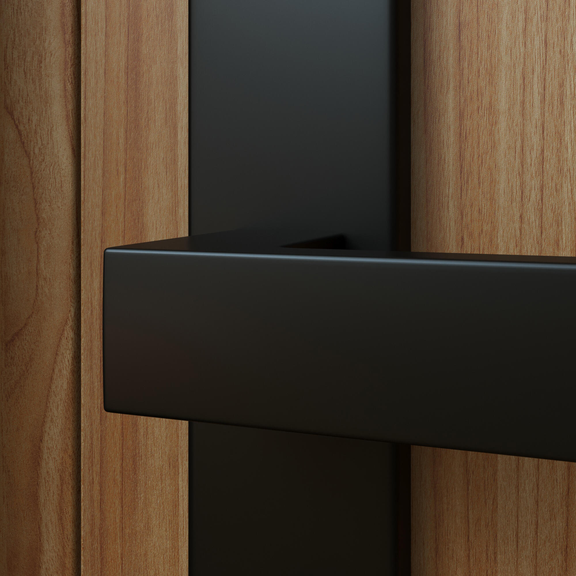 2 poignées sur plaque à condamnation Abby aluminium noir mat, entraxe 195 mm - 3